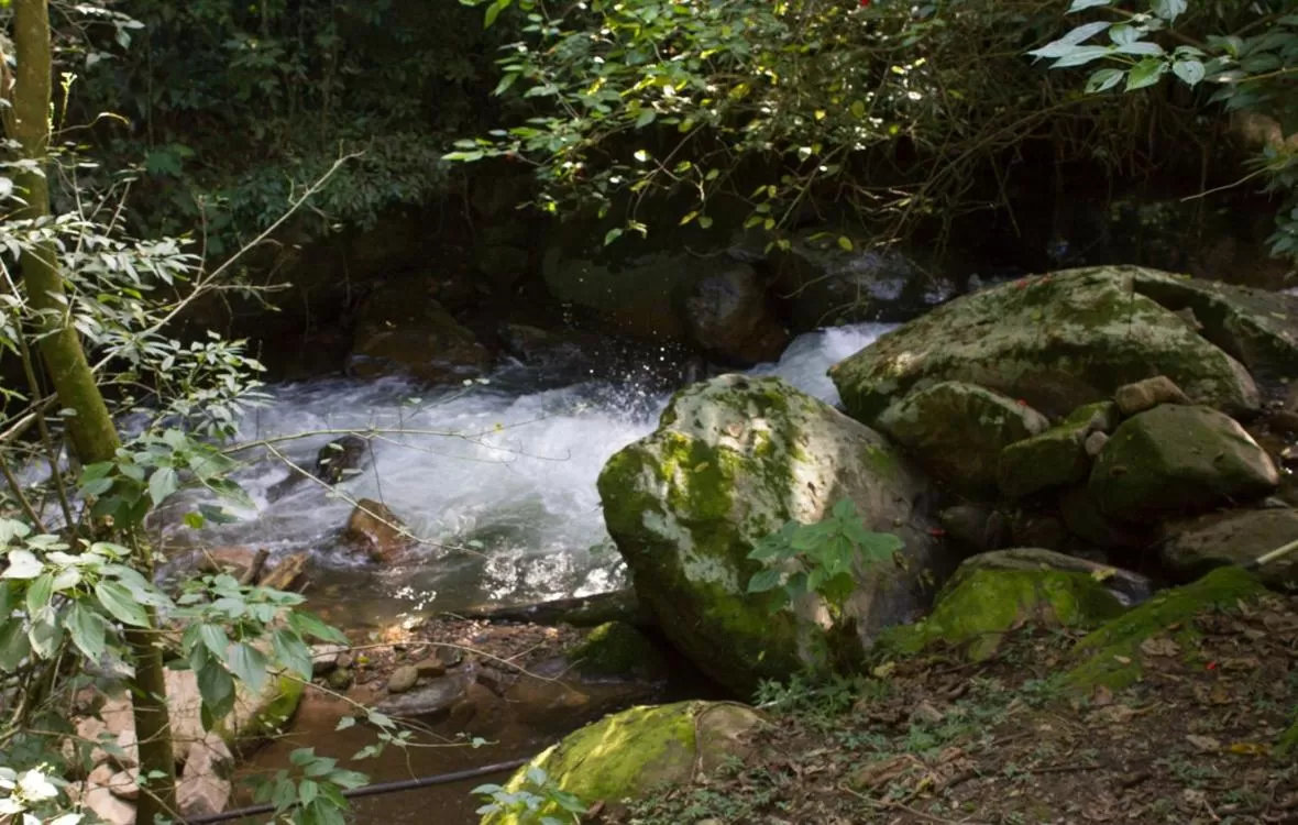 Natural Landscape in Pousada Vila Santa Barbara