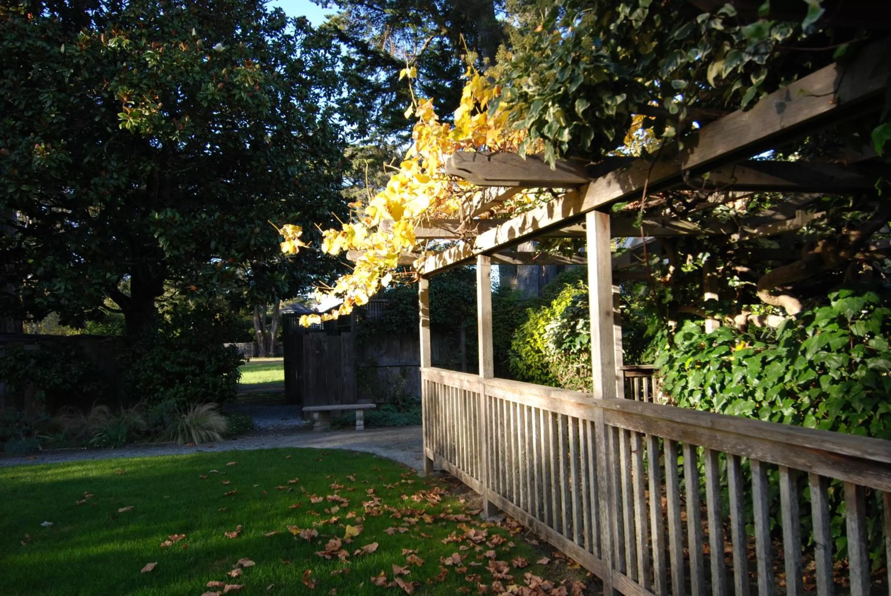 Day in Olema House at Point Reyes