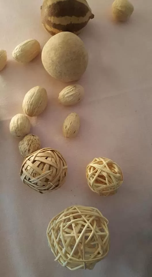 Öko-Landhotel Basler Hof