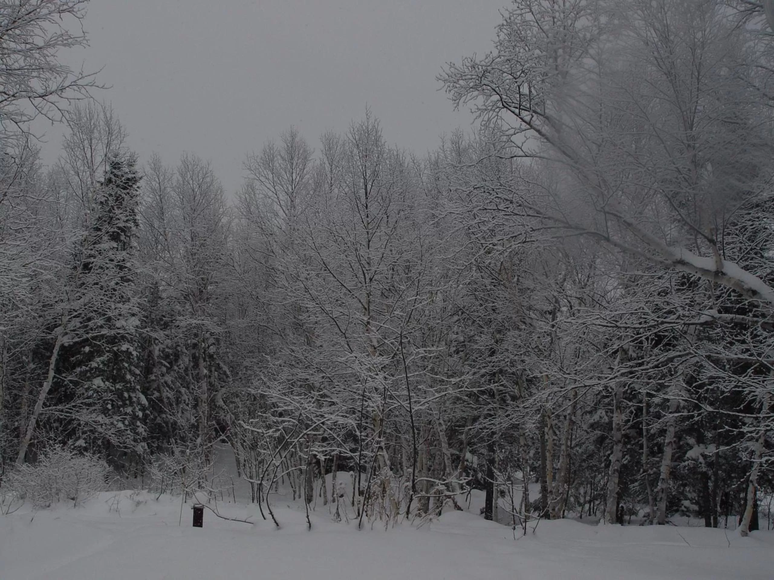 Hiking in Auberge Carpe Diem
