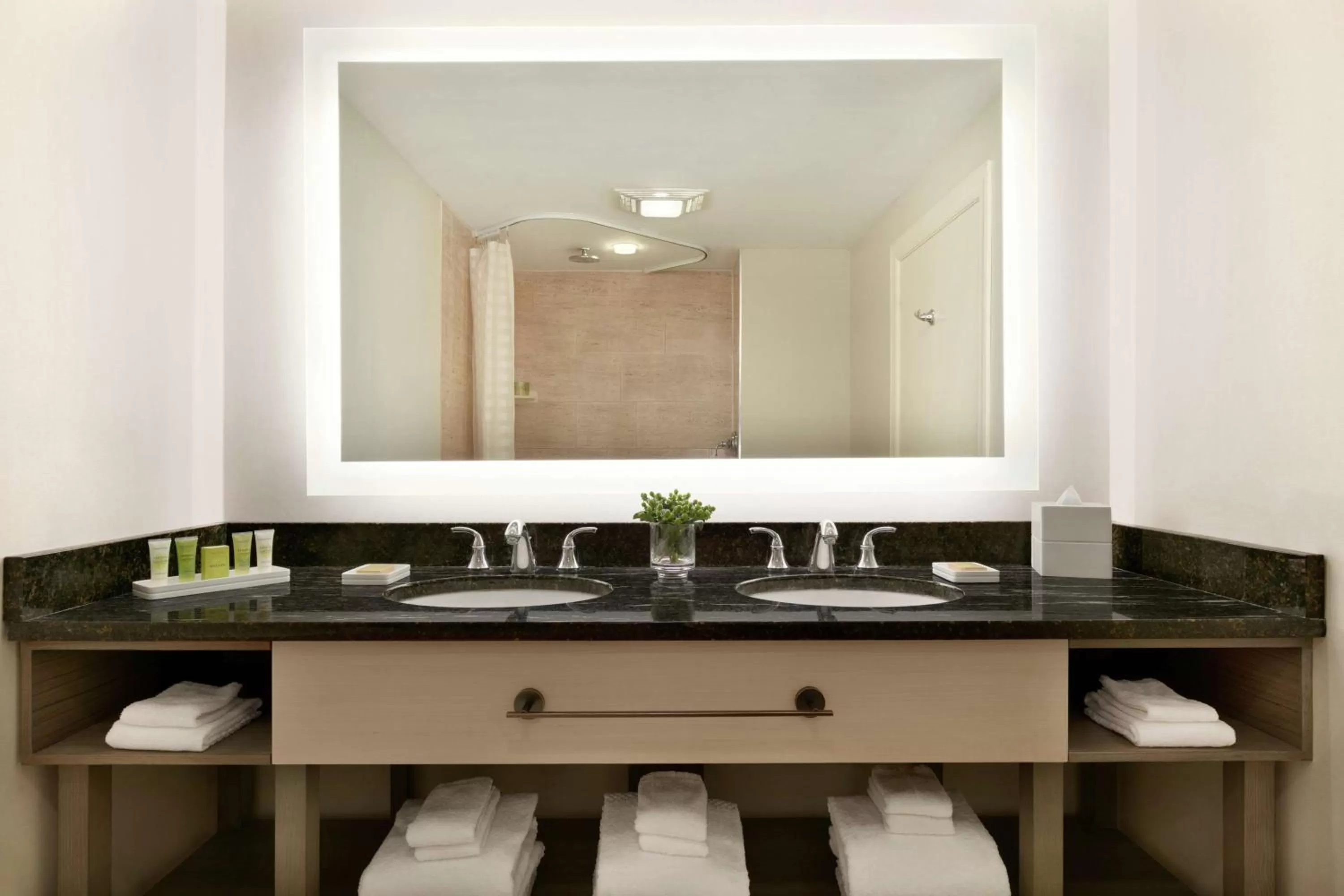 Bathroom in Hilton Suites Ocean City Oceanfront