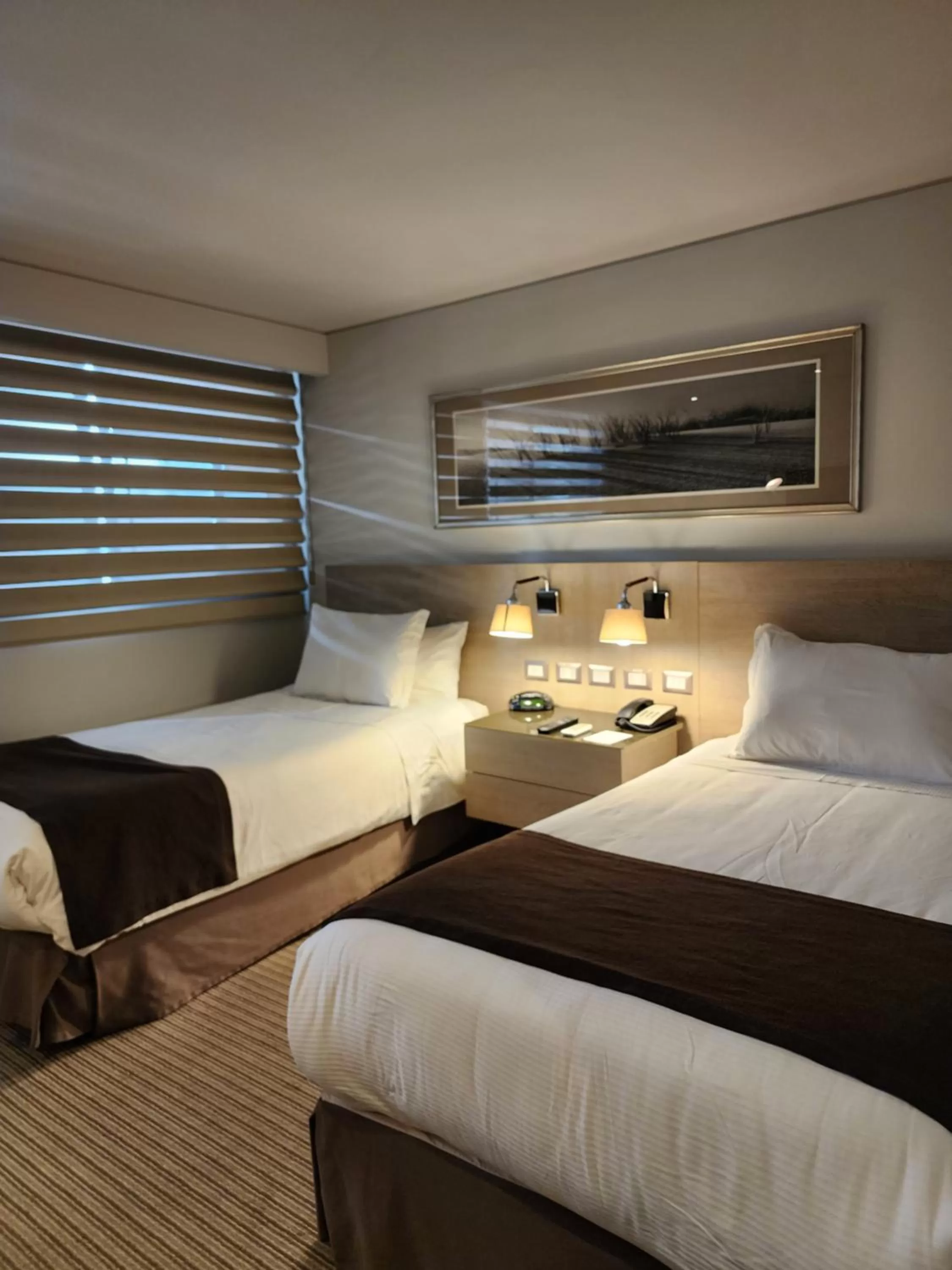 Twin Room with City View in Hotel Los Españoles Plus