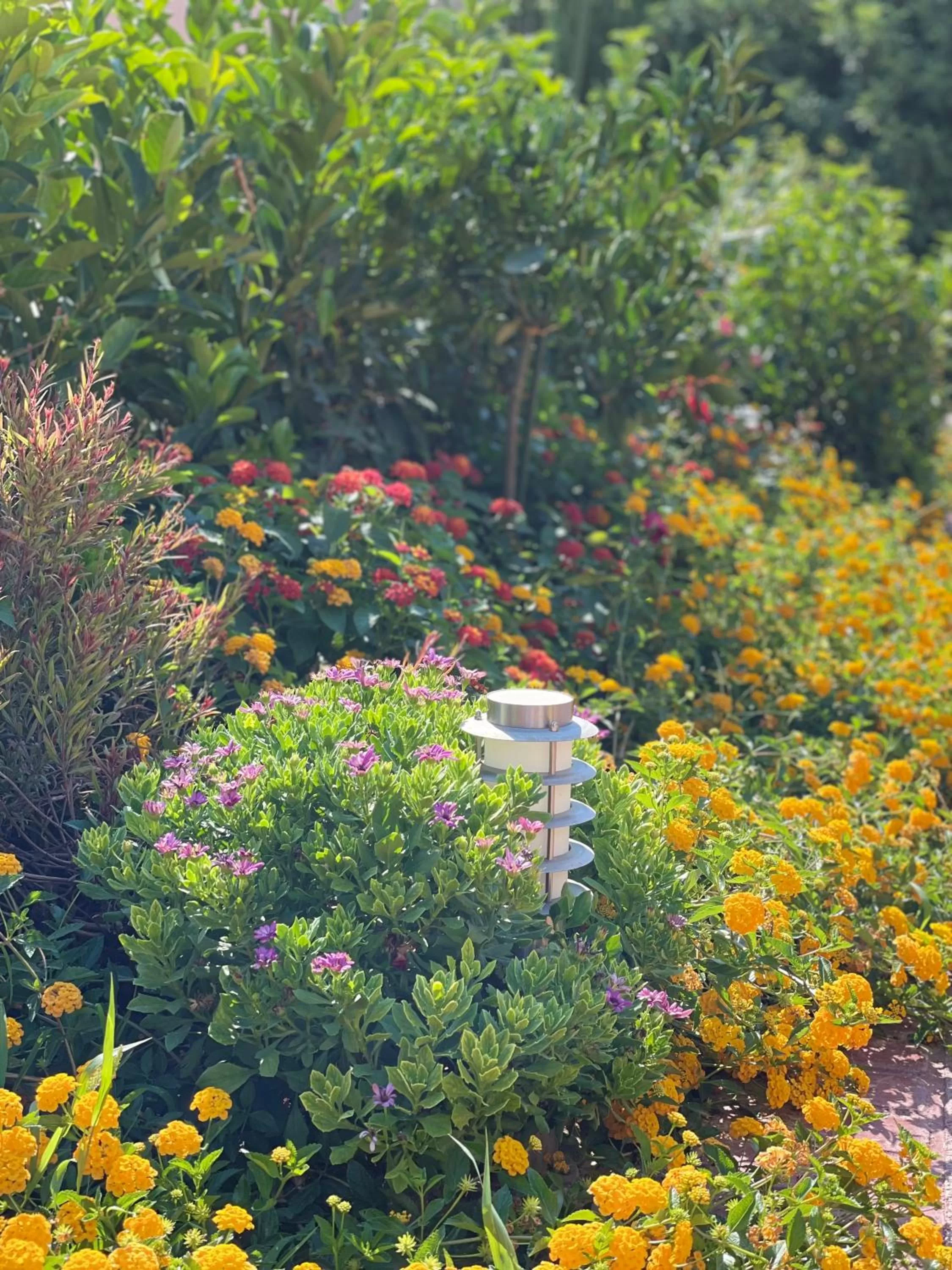 Garden in Corinthian Village