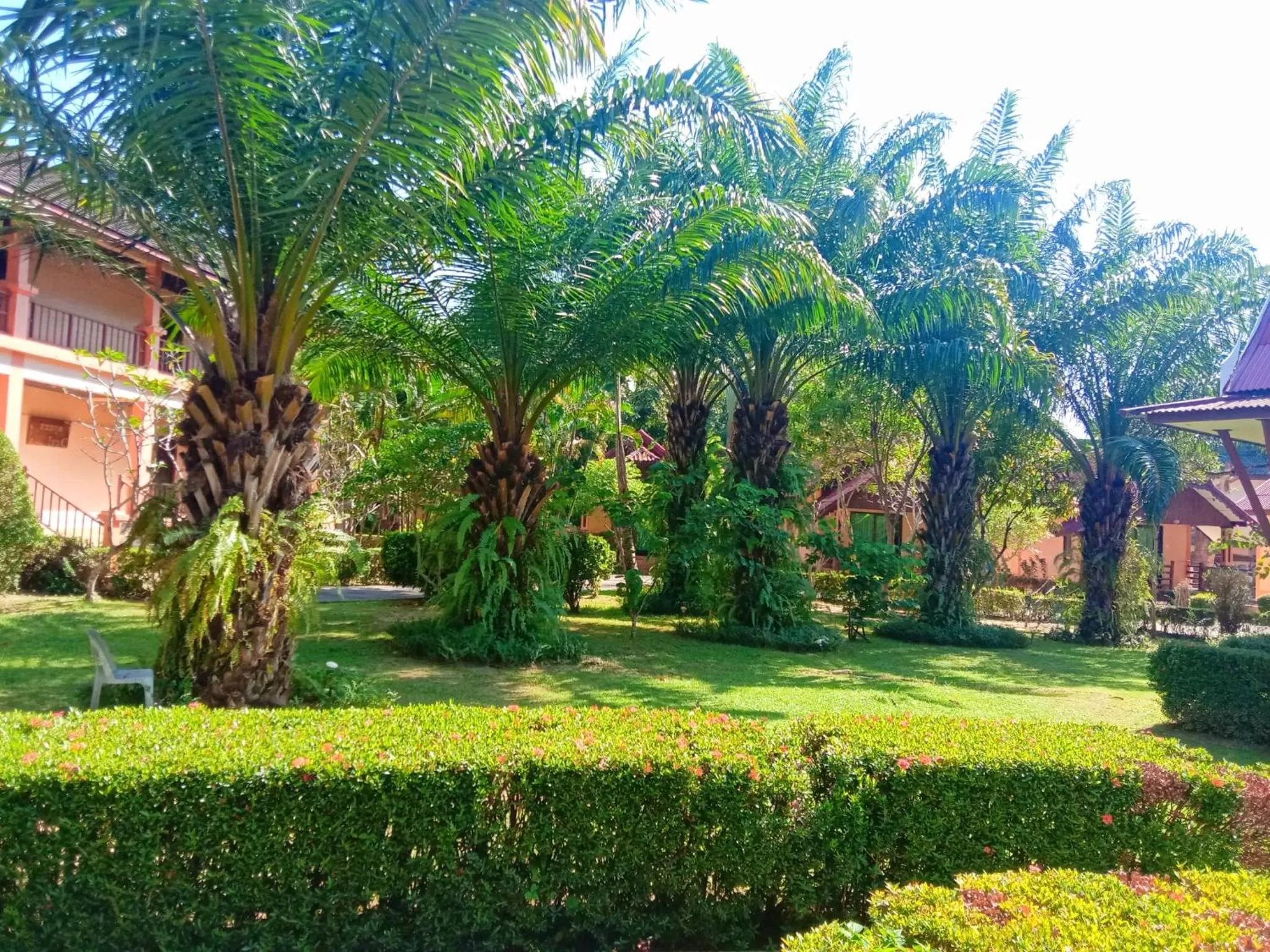 Garden in Kaibae Hut Resort