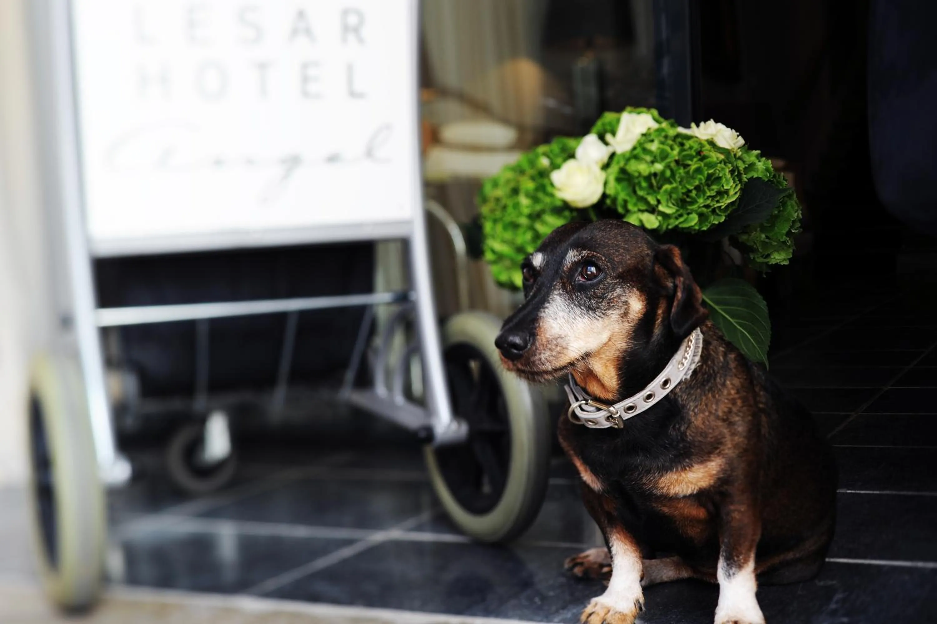 Lesar Hotel Angel - Member of Hip Hotels