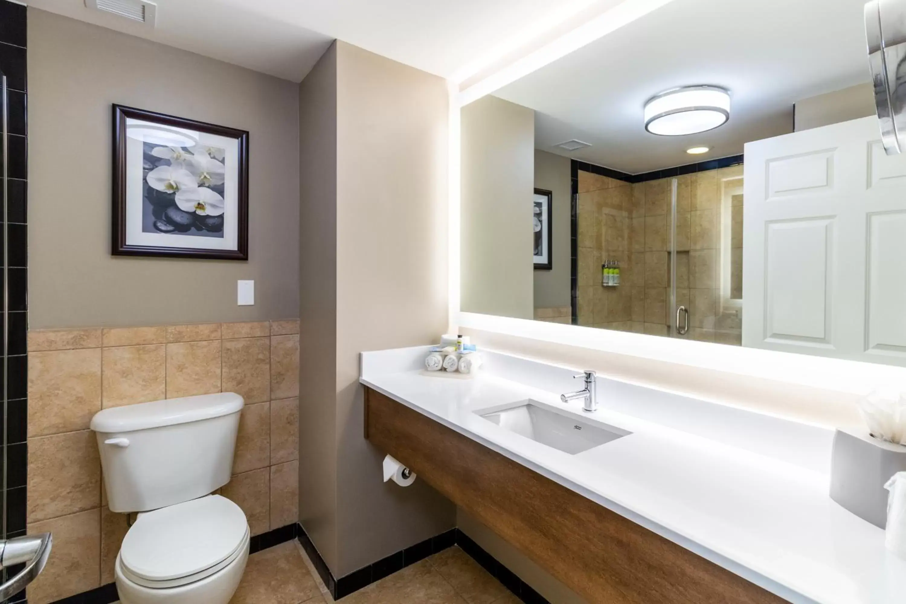 King Room with Mobility Accessible Tub - Non-Smoking in Holiday Inn Express Savannah - Historic District, an IHG Hotel King Room with Mobility Accessible Tub - Non-Smoking in Holiday Inn Express Savannah - Historic District, an IHG Hotel