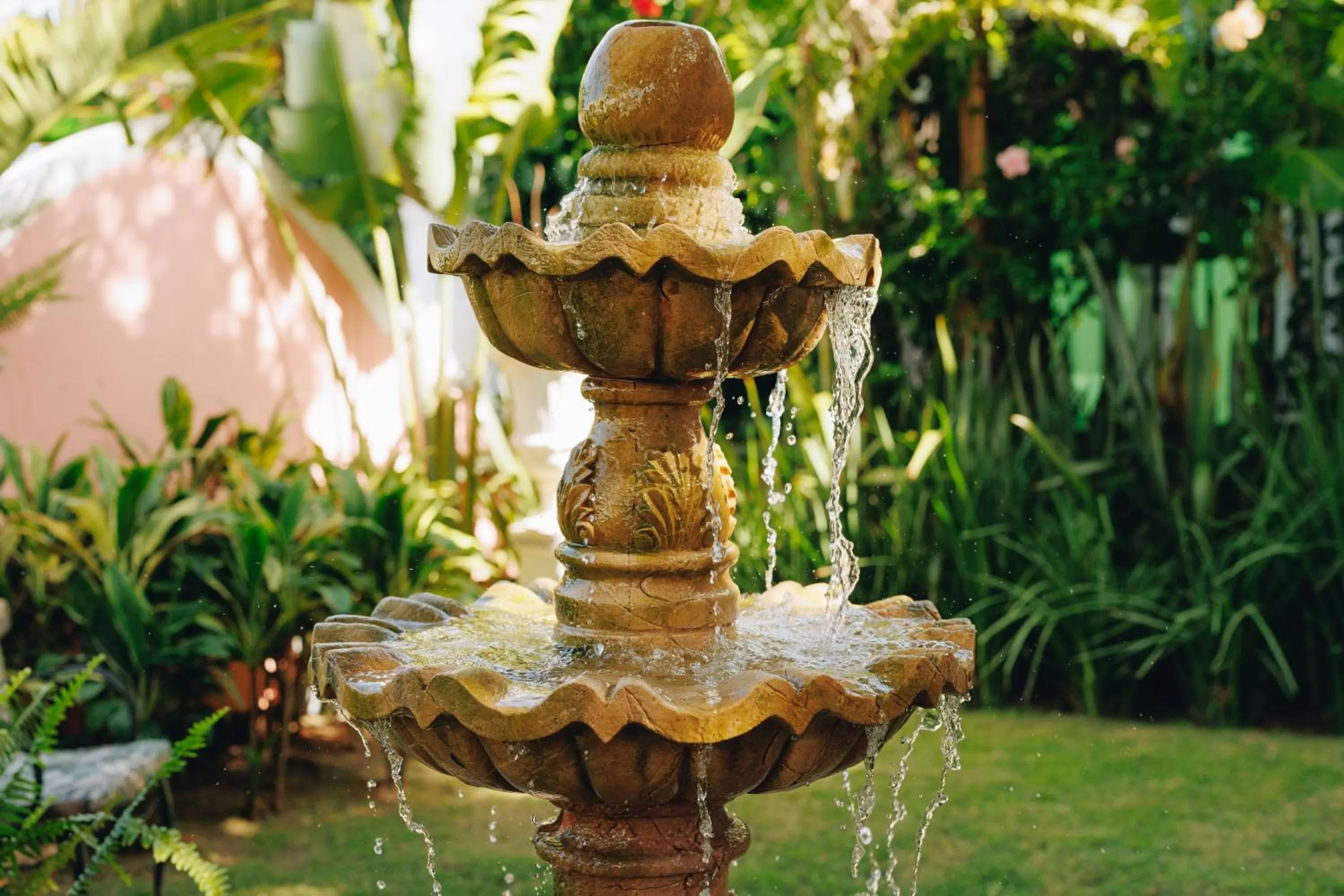 Garden in Hotel Boutique Quinta das Videiras