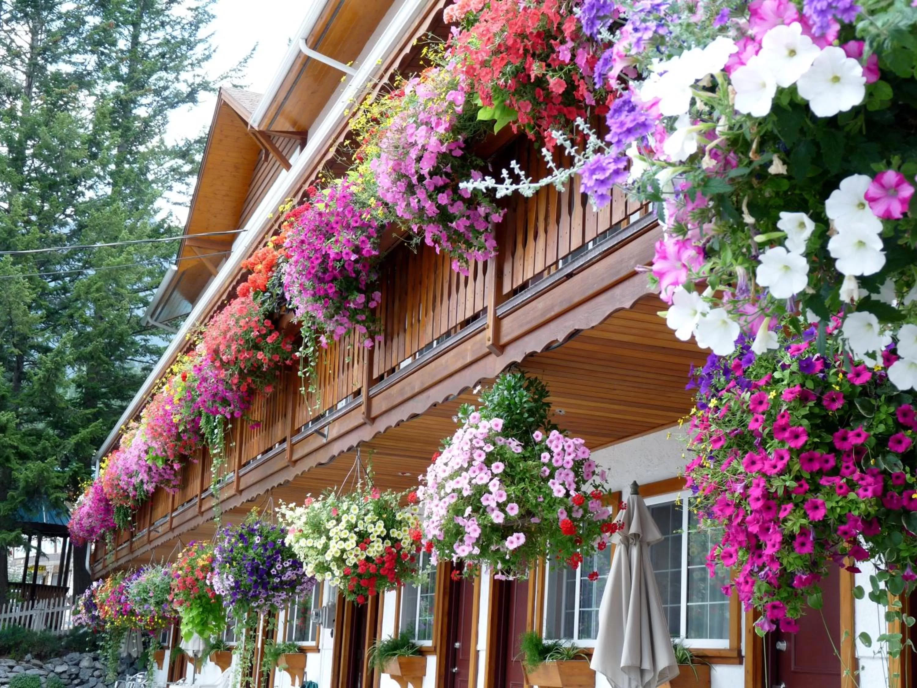 Day in Gateway Motel