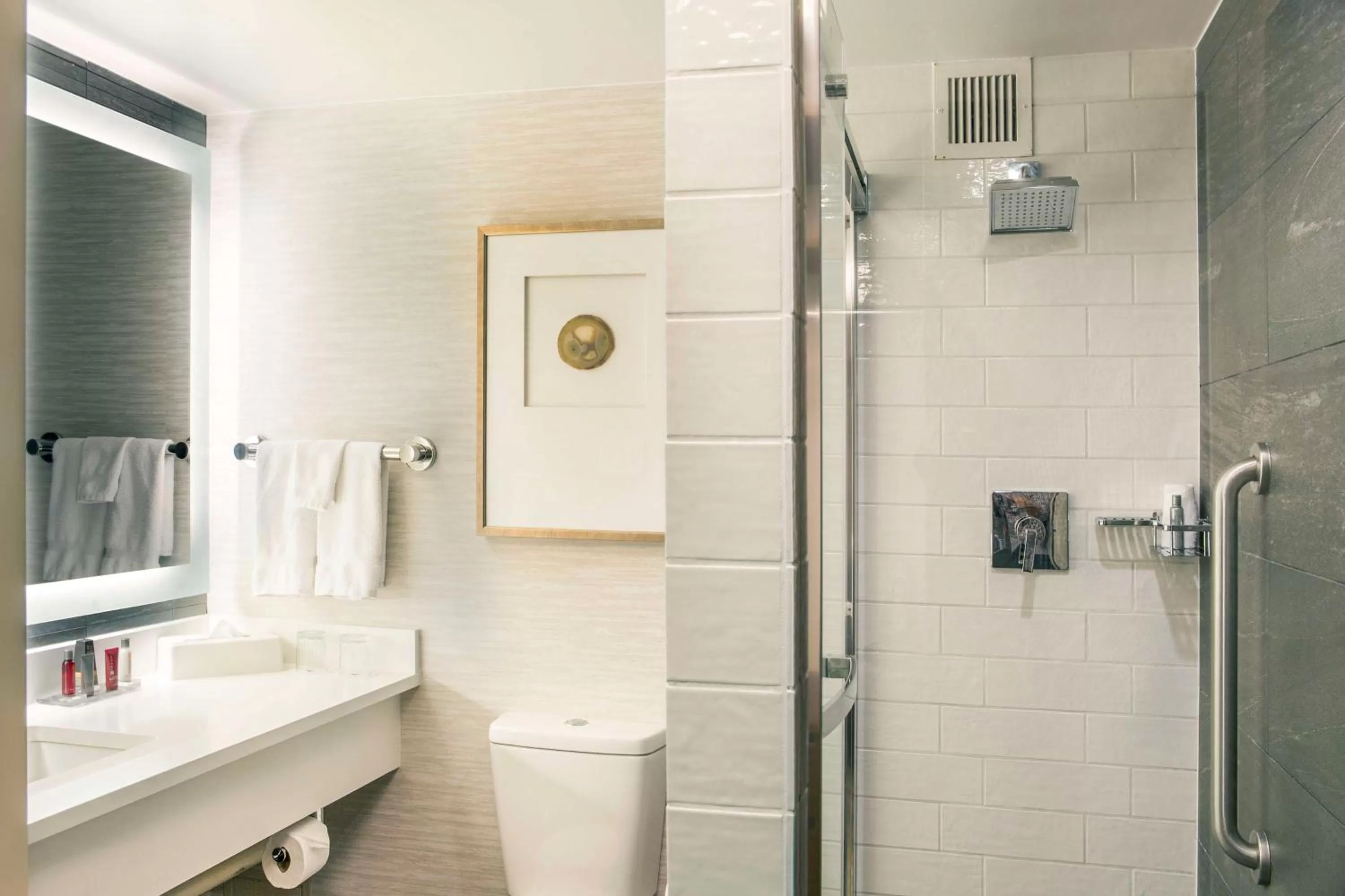 Bathroom in Hilton Denver City Center