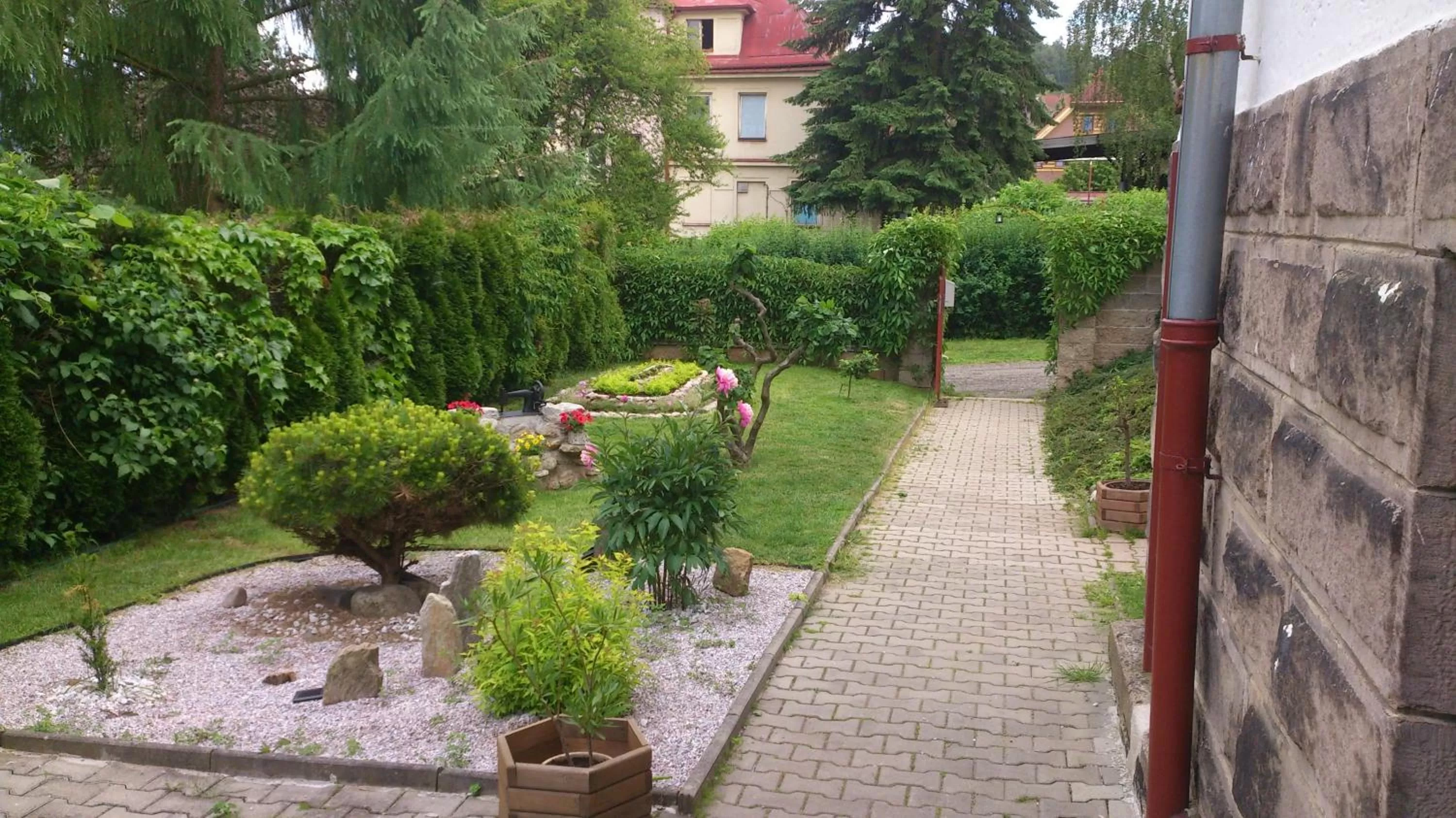 View (from property/room) in Hotel Alfa