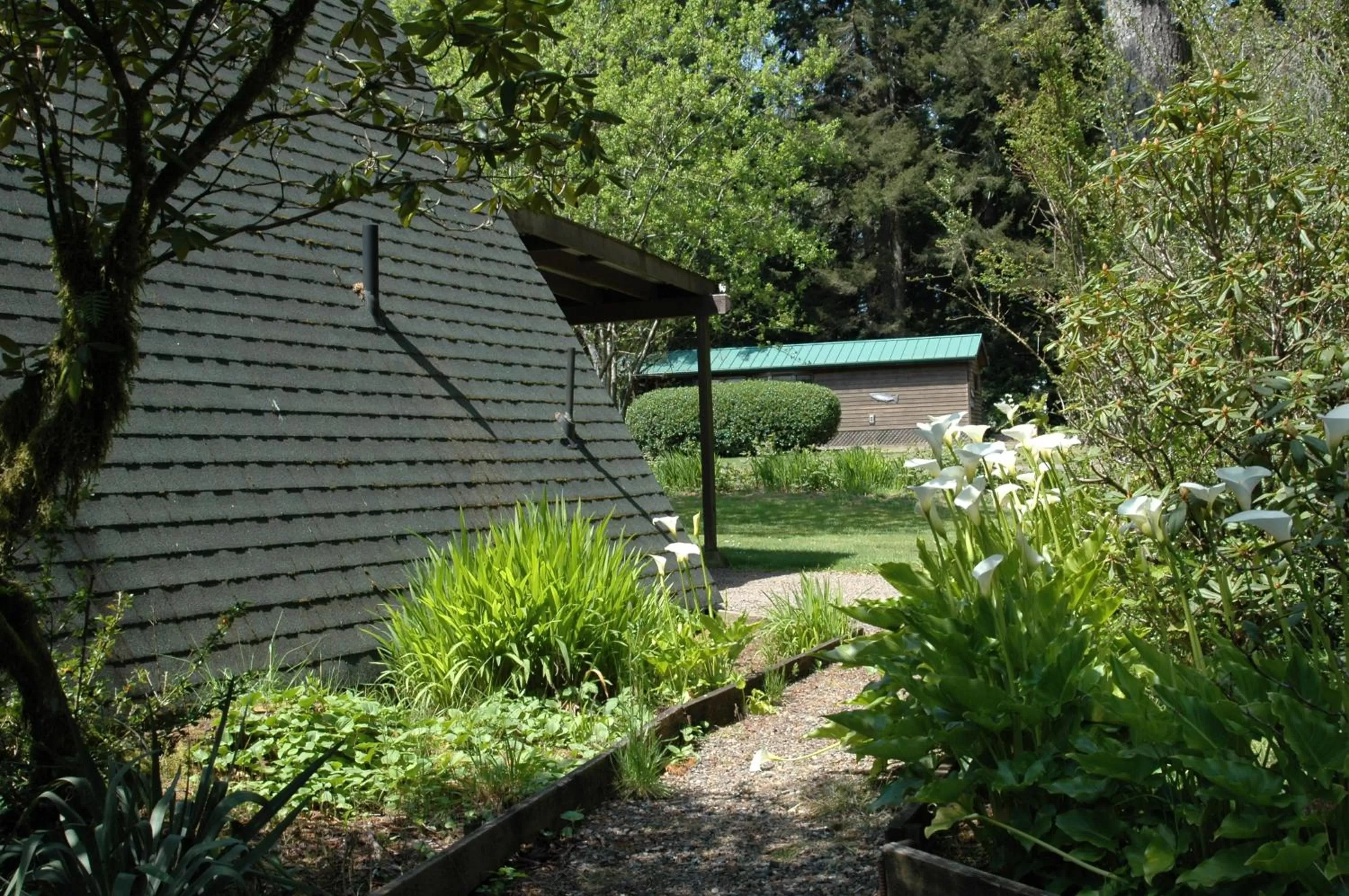 Park Motel and Cabins