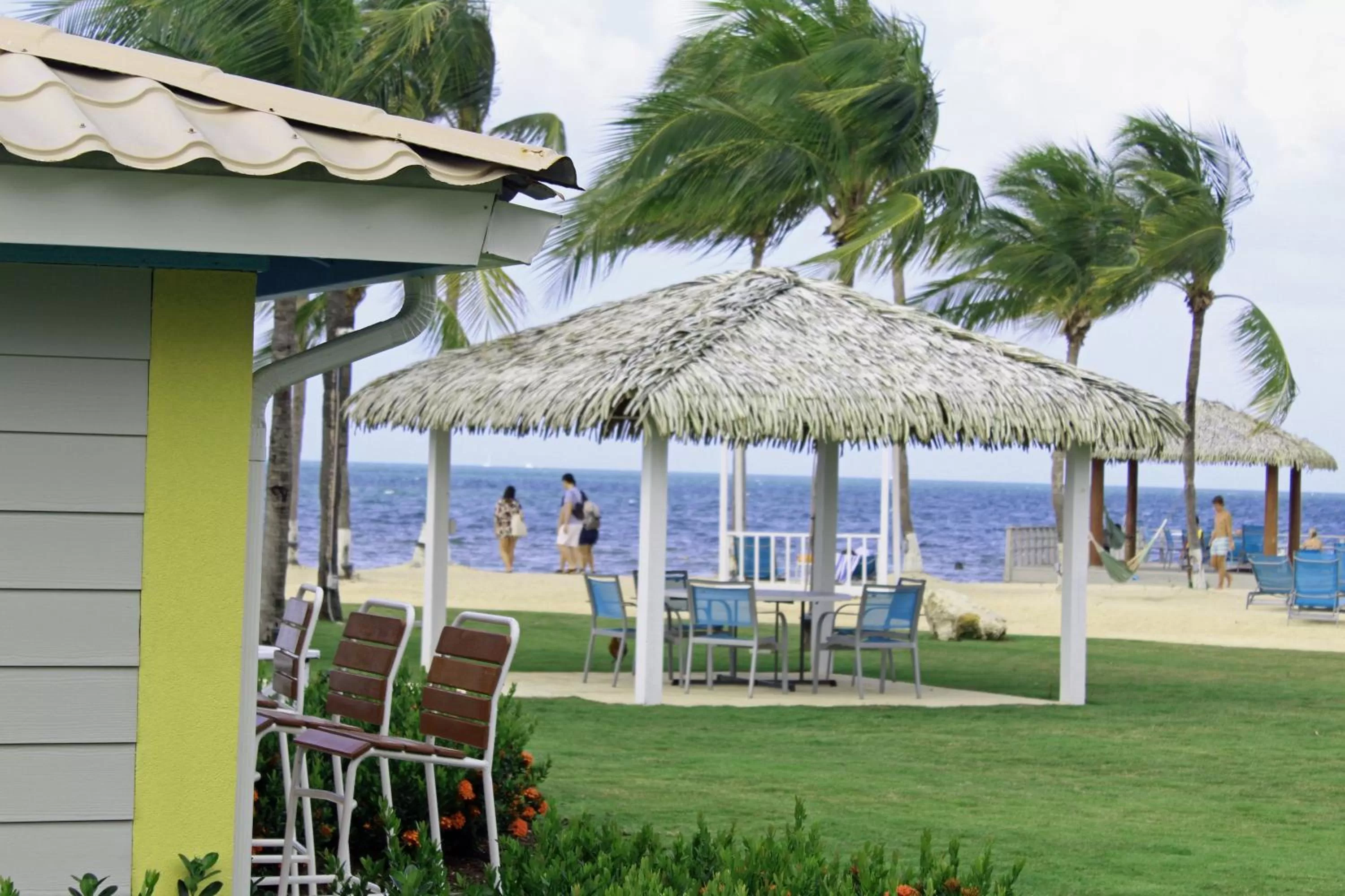 Beach in Holiday Inn Resort Grand Cayman by IHG