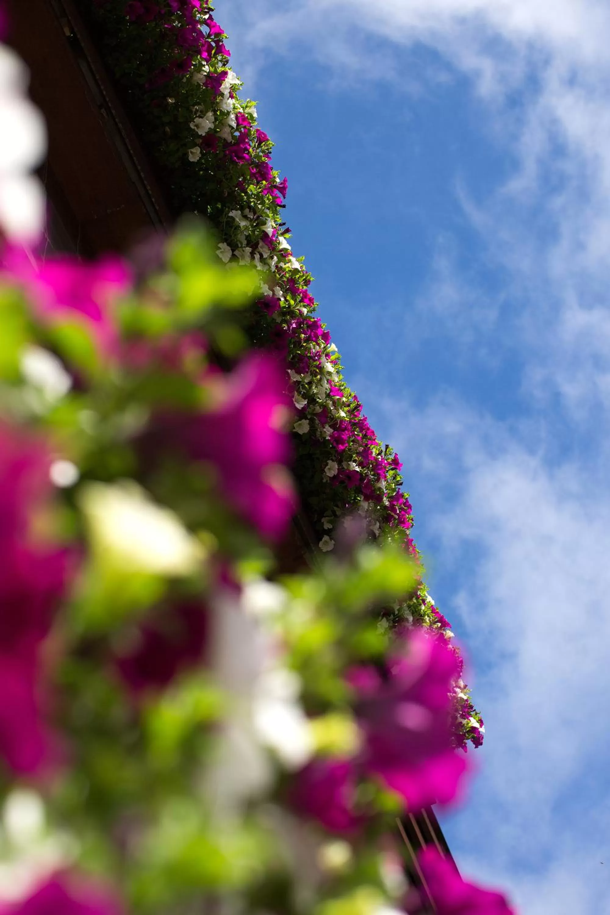 Hotel Garni Römerhof