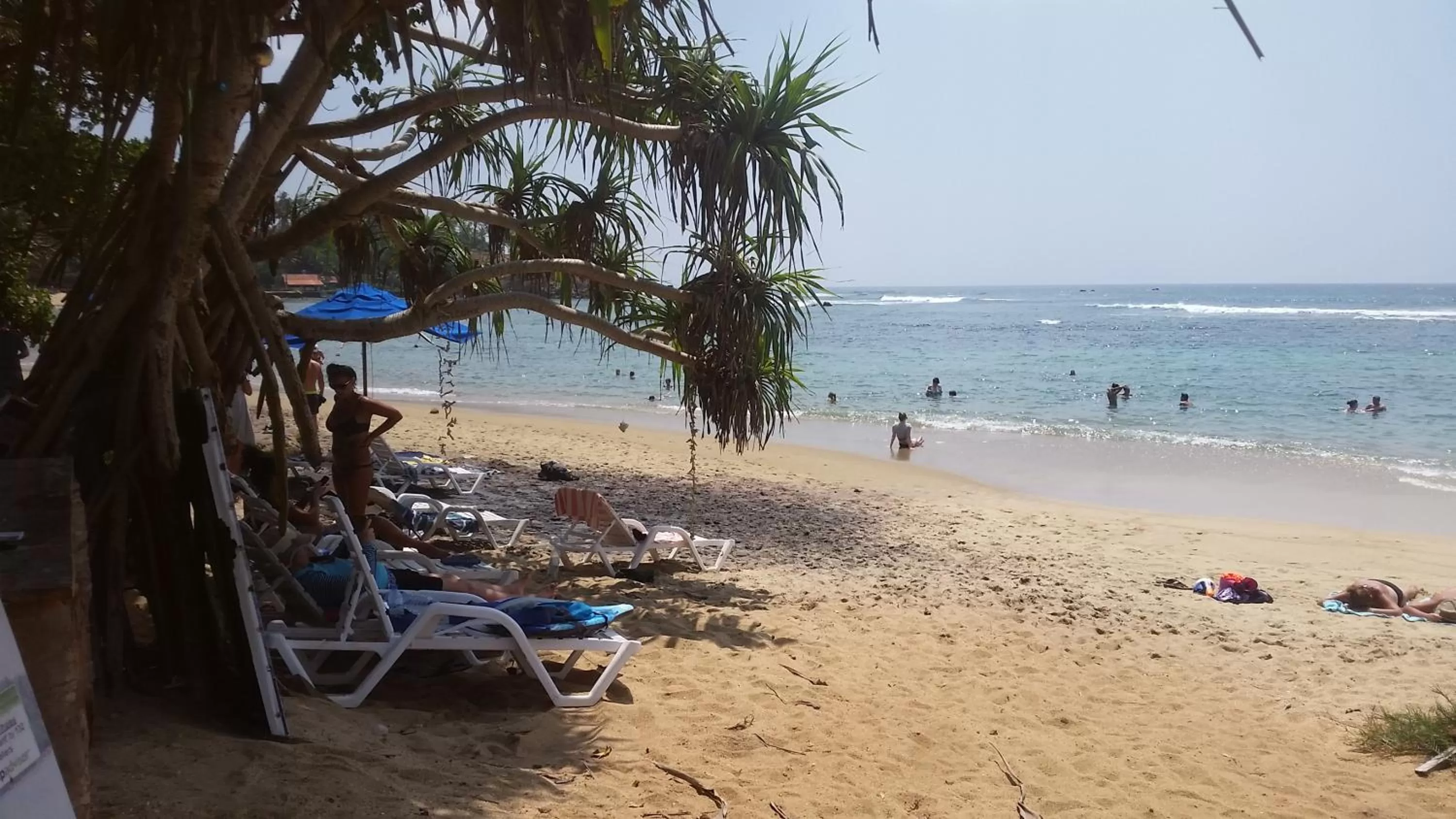 Beach in Turtle Reef Guest