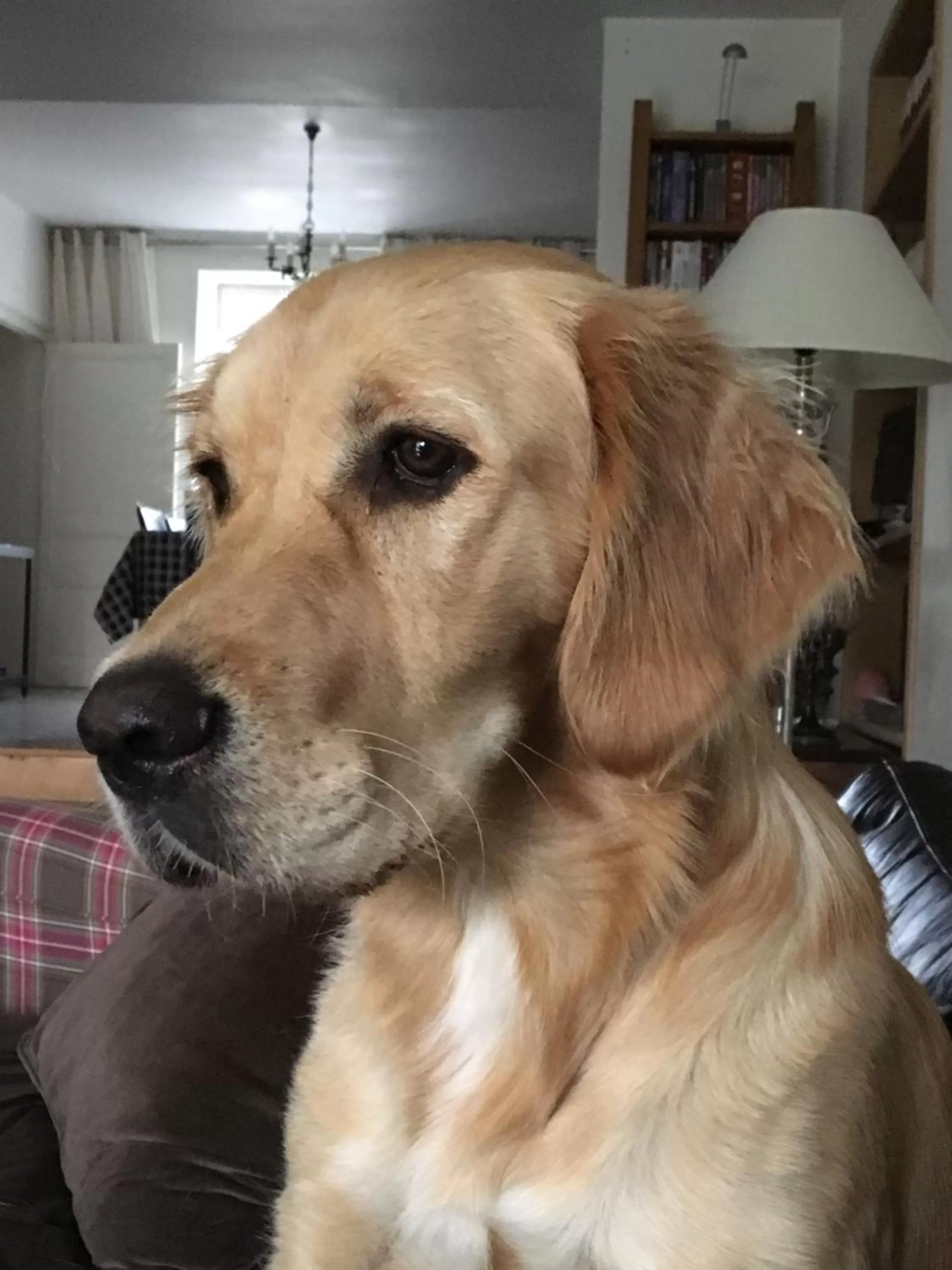 Les Chambres Lauryvan