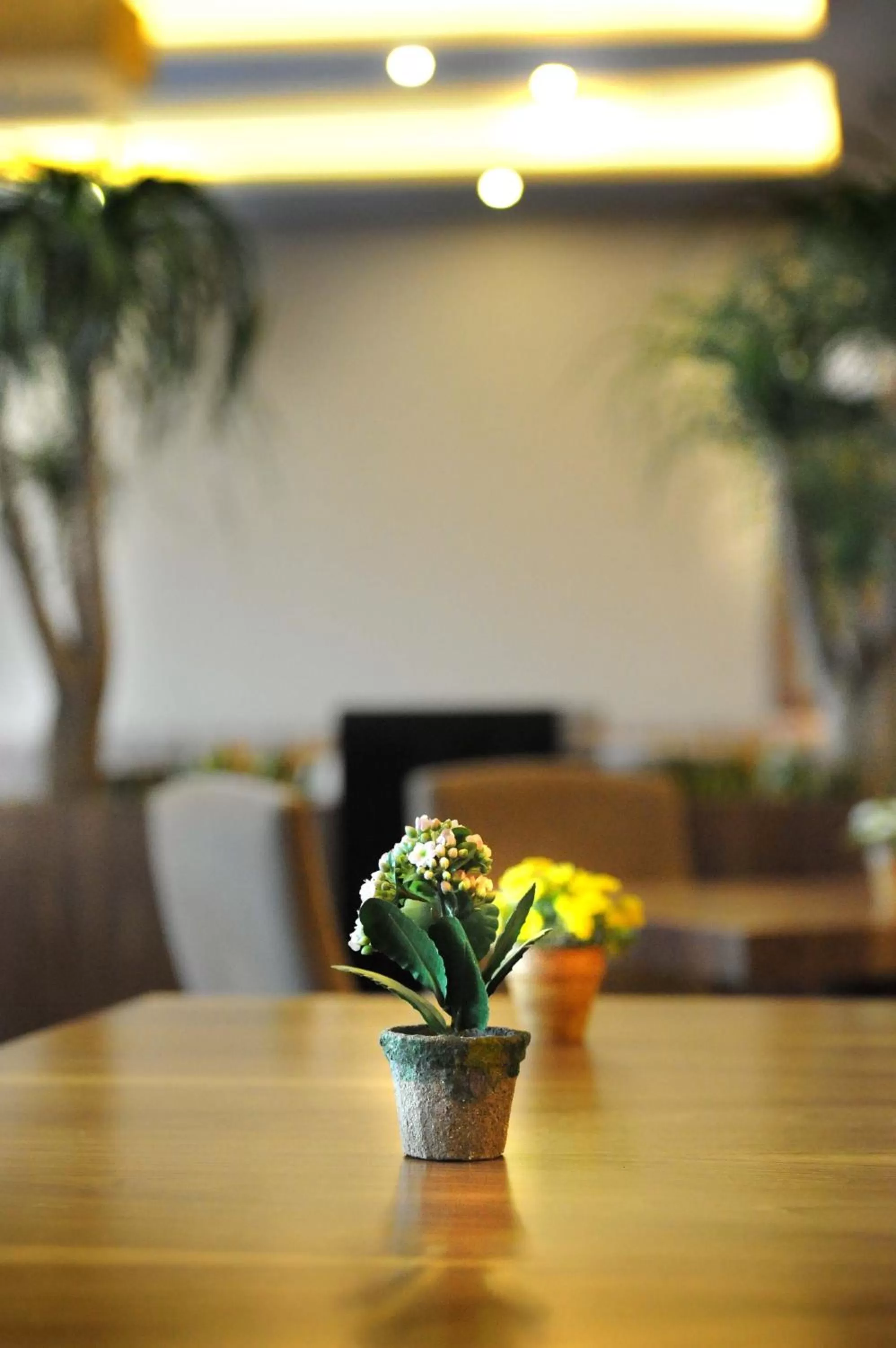 Staff in Volley Hotel Istanbul