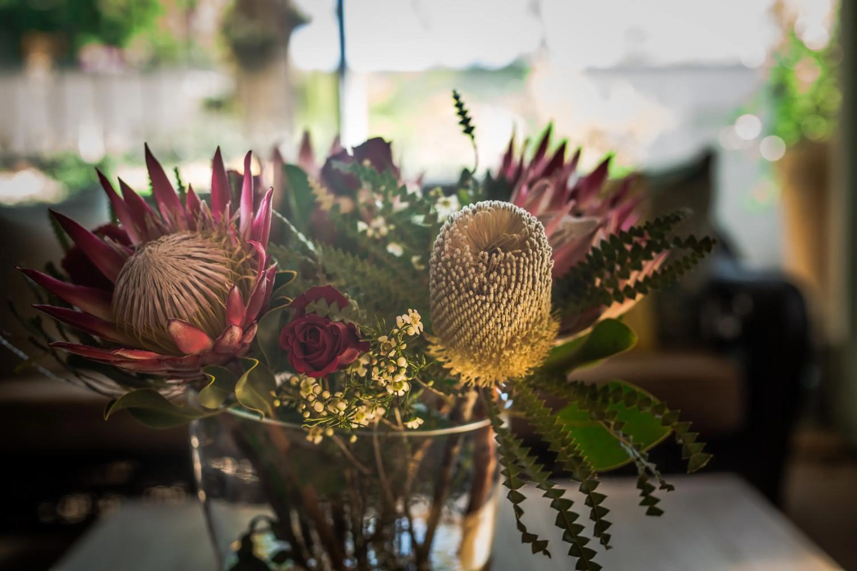 Garden in Point B Guest House -Sustainable Solar Energy