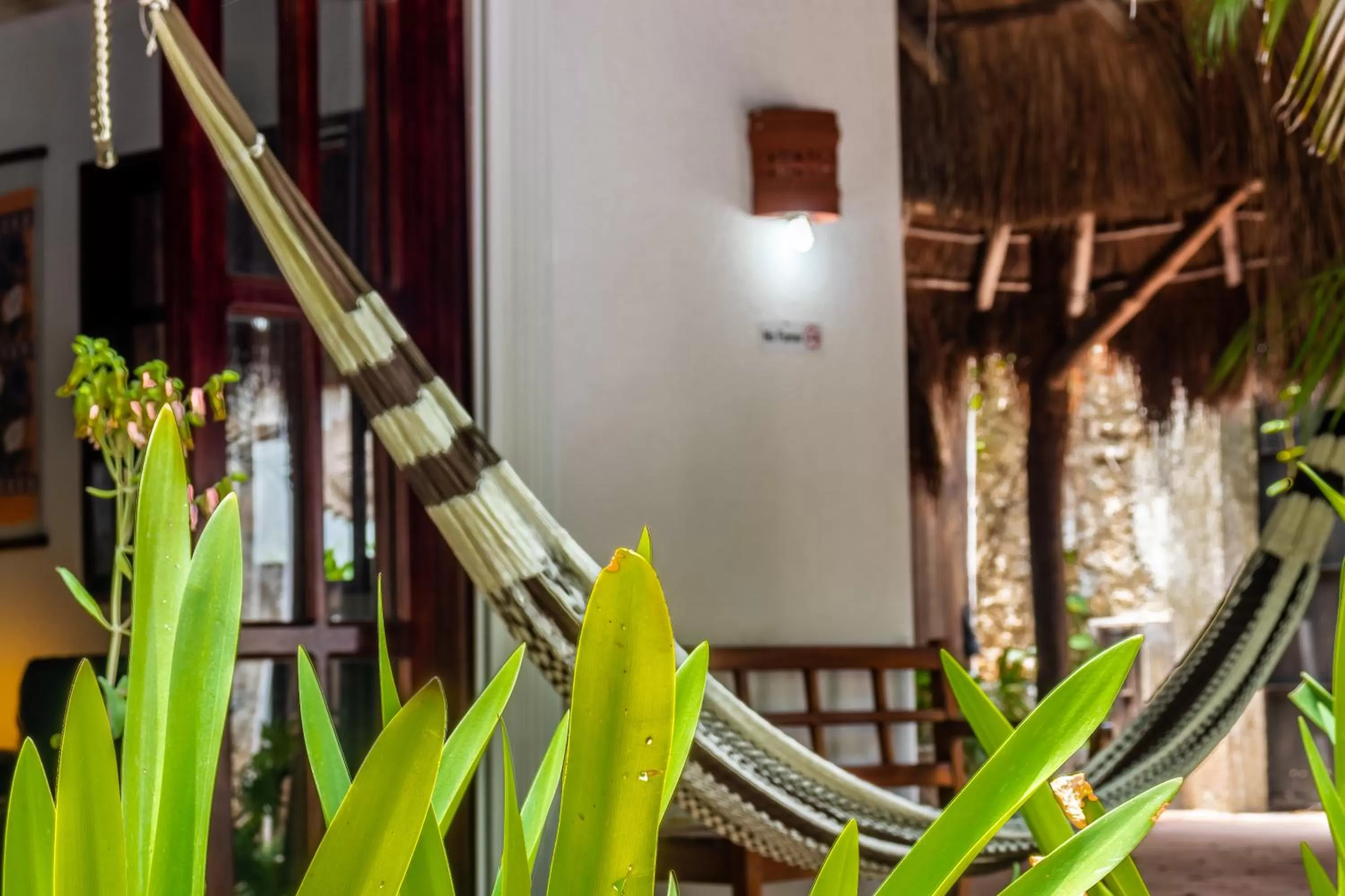 Property building in Apart Hotel Casaejido