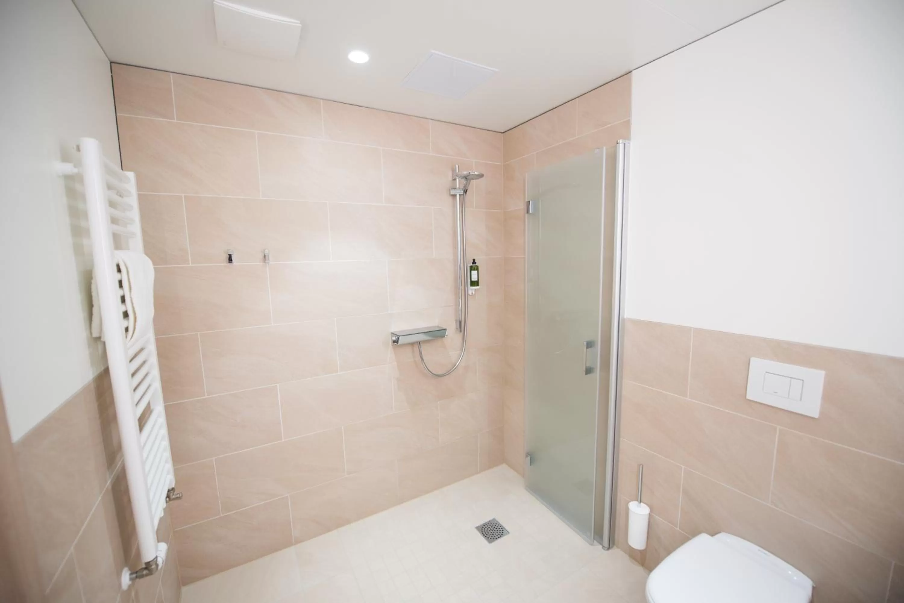 Shower in Parkhotel Schillerhain