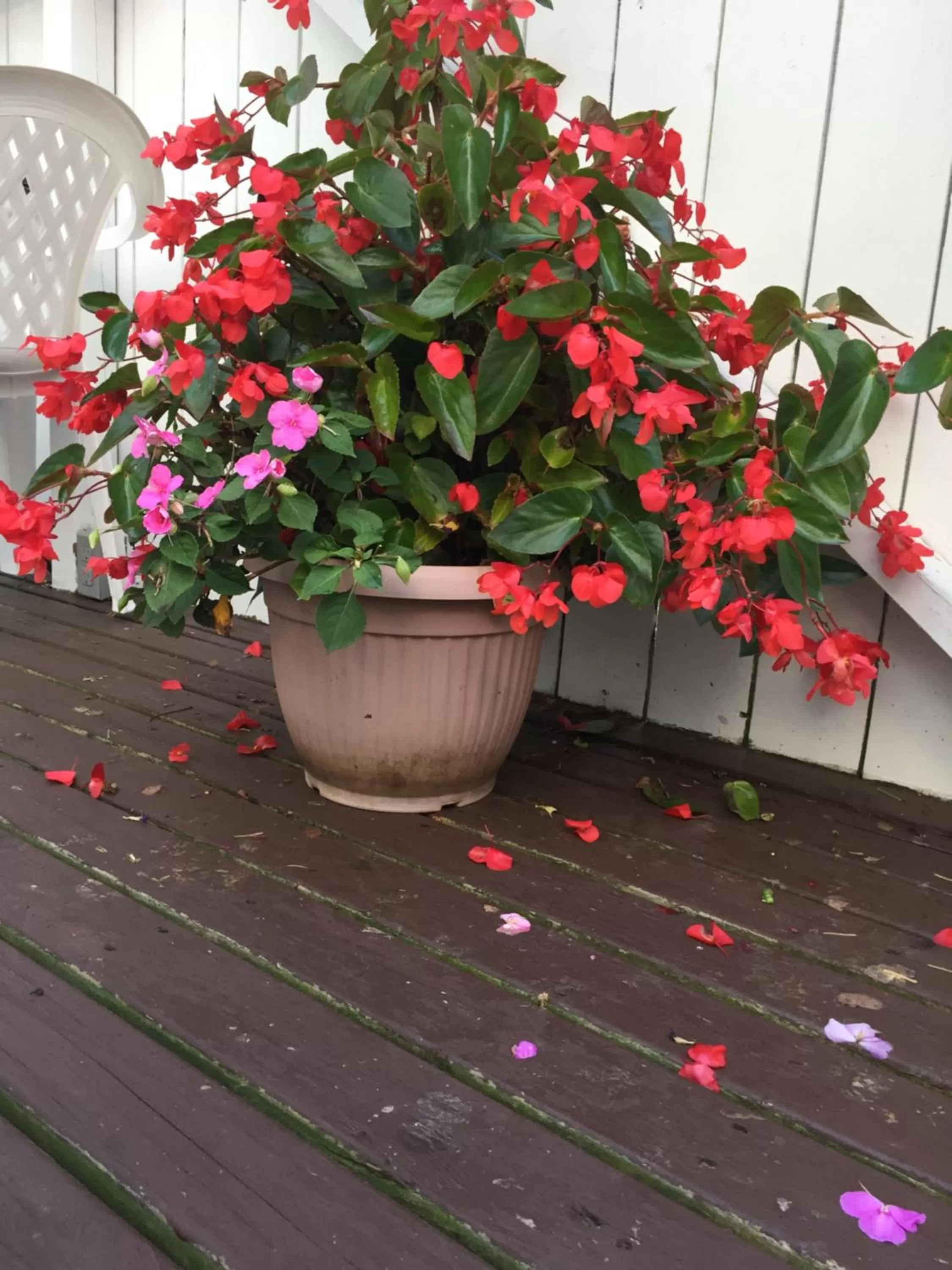 Patio in Lakelawn B&B and Motel