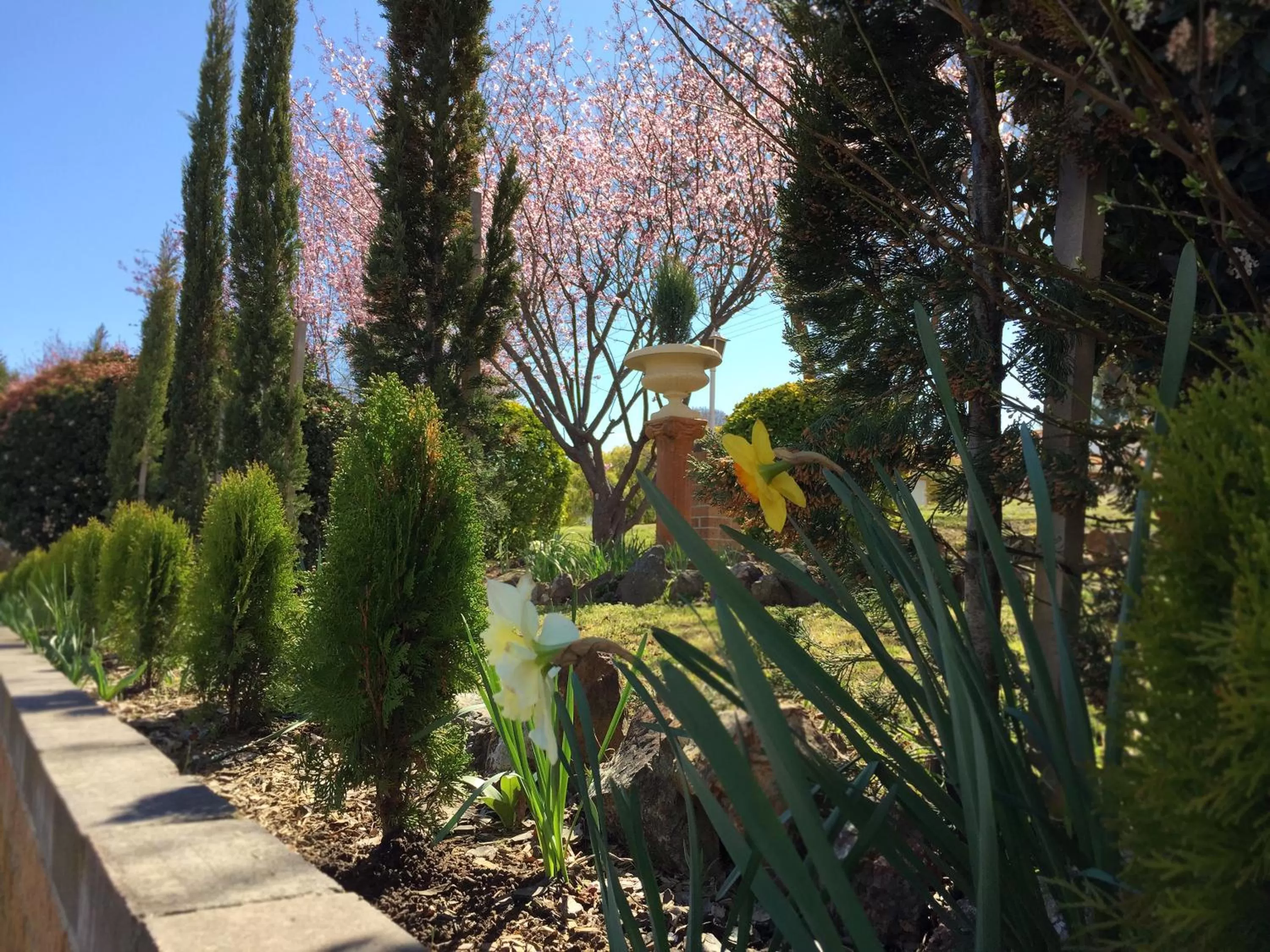 Spring in White Lanterns Motel