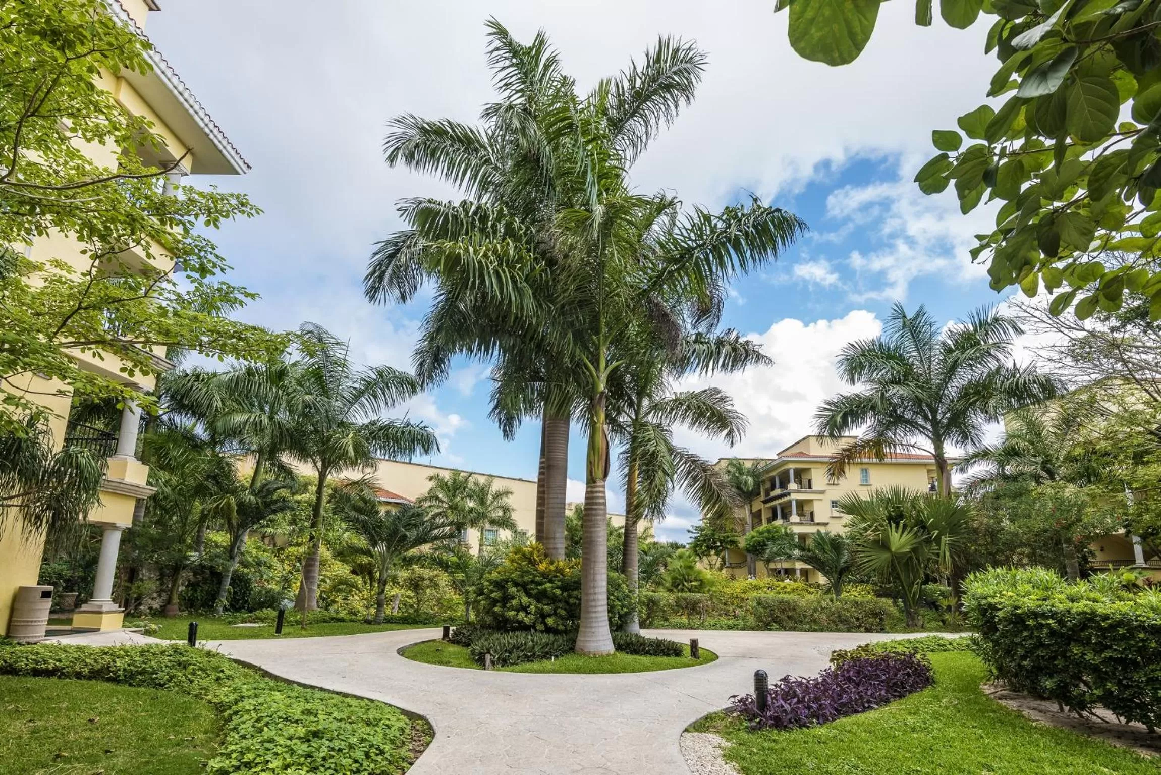 Garden view in Hotel Marina El Cid Spa & Beach Resort - All Inclusive
