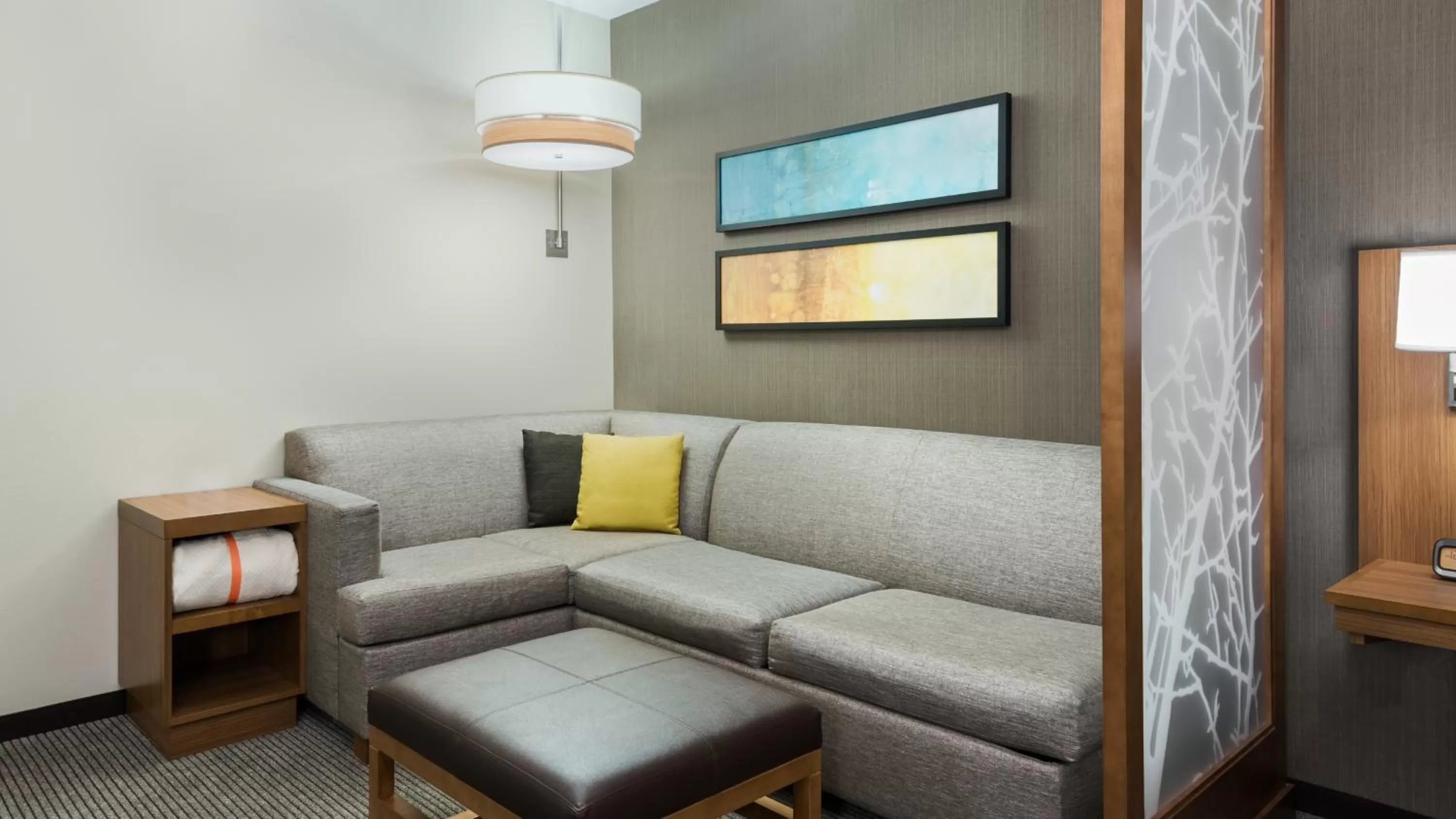 King Room with Sofa Bed and Roll-In Shower - Disability Access in Hyatt Place Austin/Round Rock