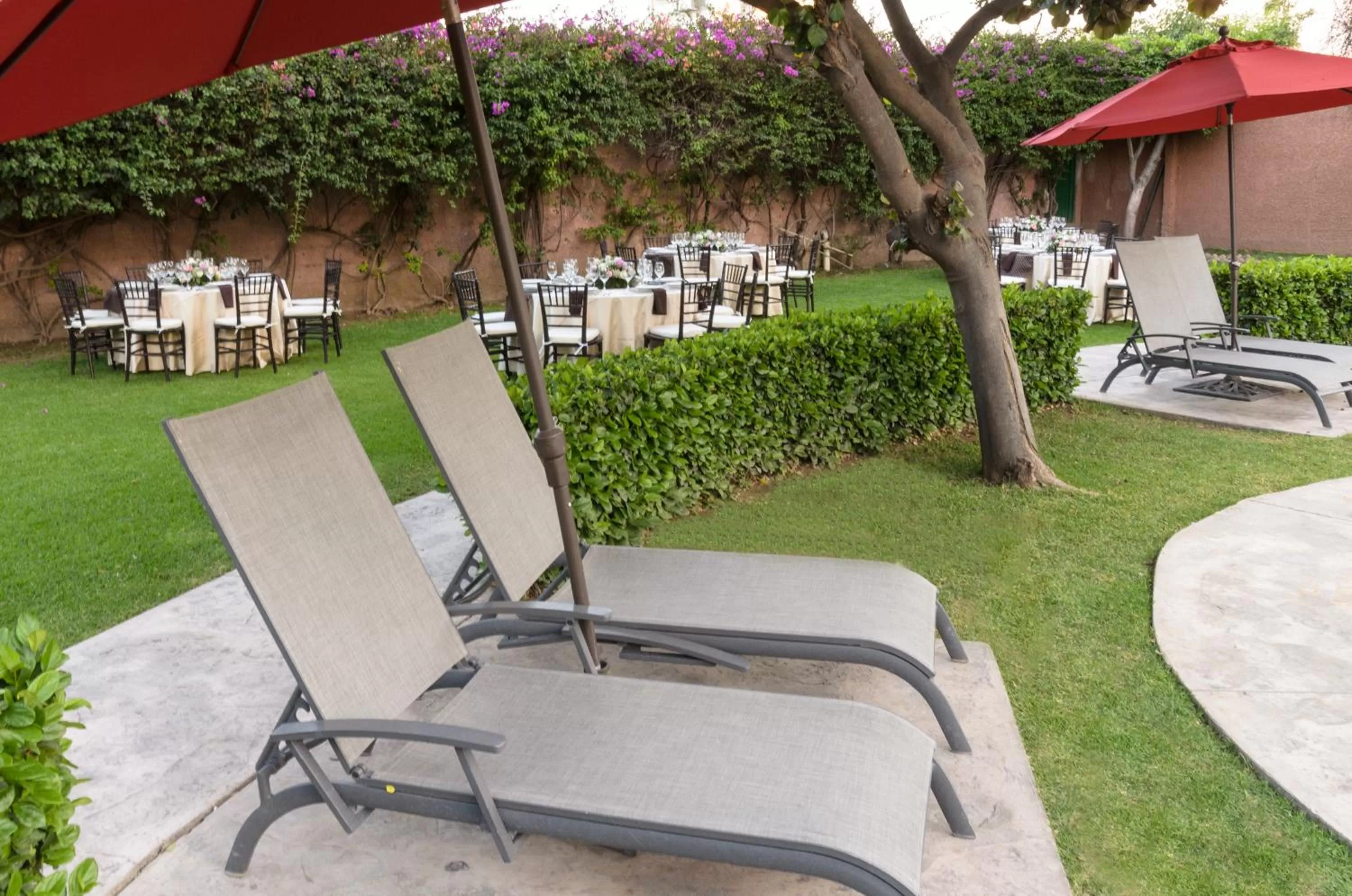 Hotel San Francisco Leon