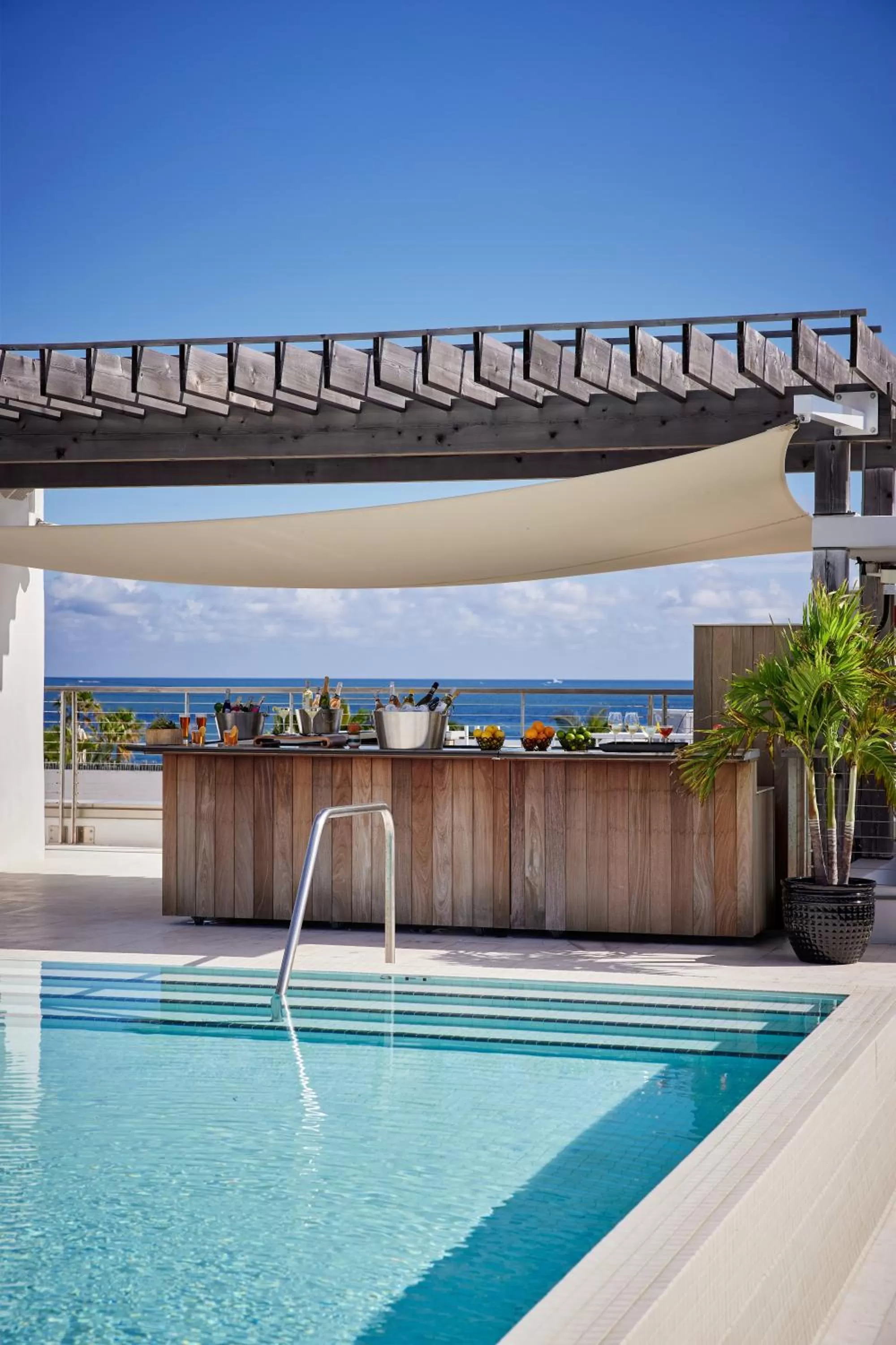 Lounge or bar in The Betsy Hotel, South Beach