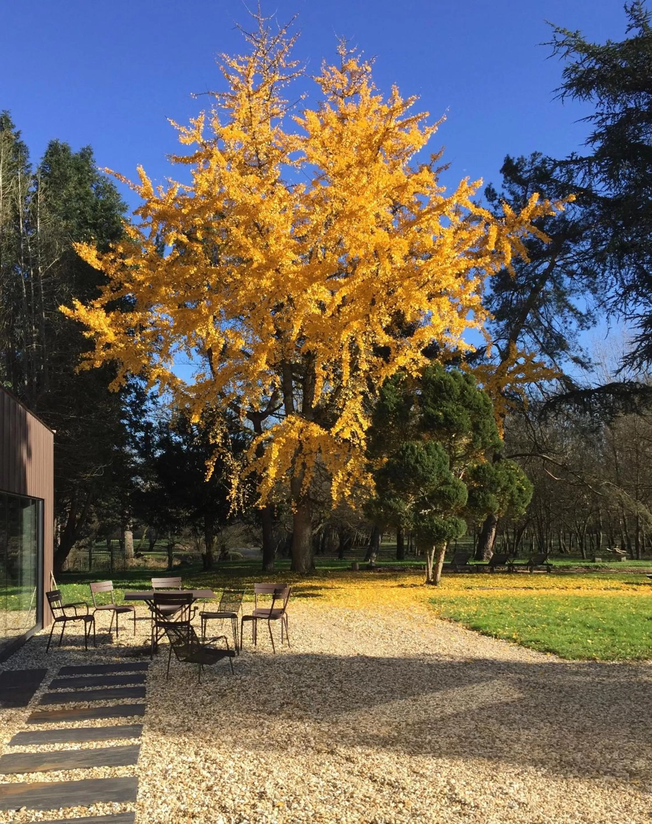 Garden in STUDIO EN VILLE ET CAMPAGNE