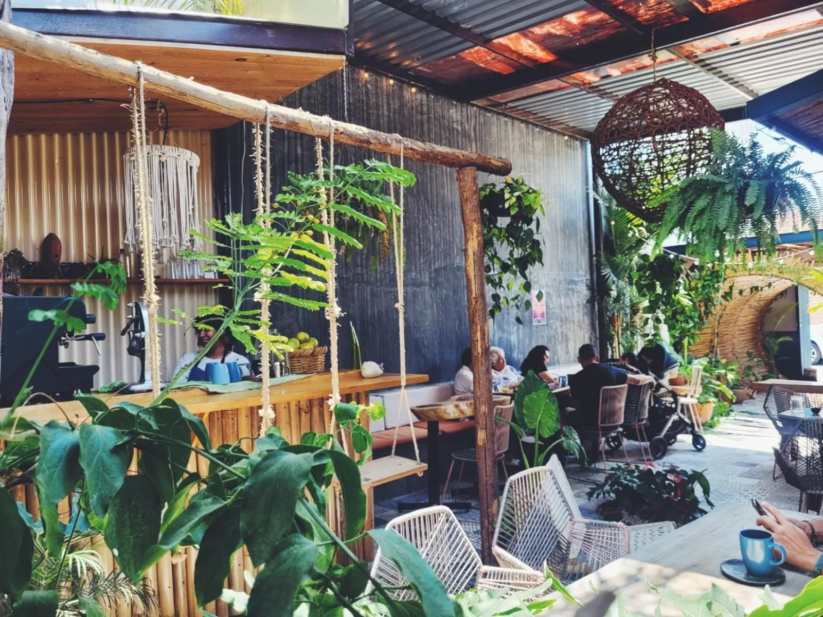 Restaurant/Places to Eat in Hostal Hoja Santa