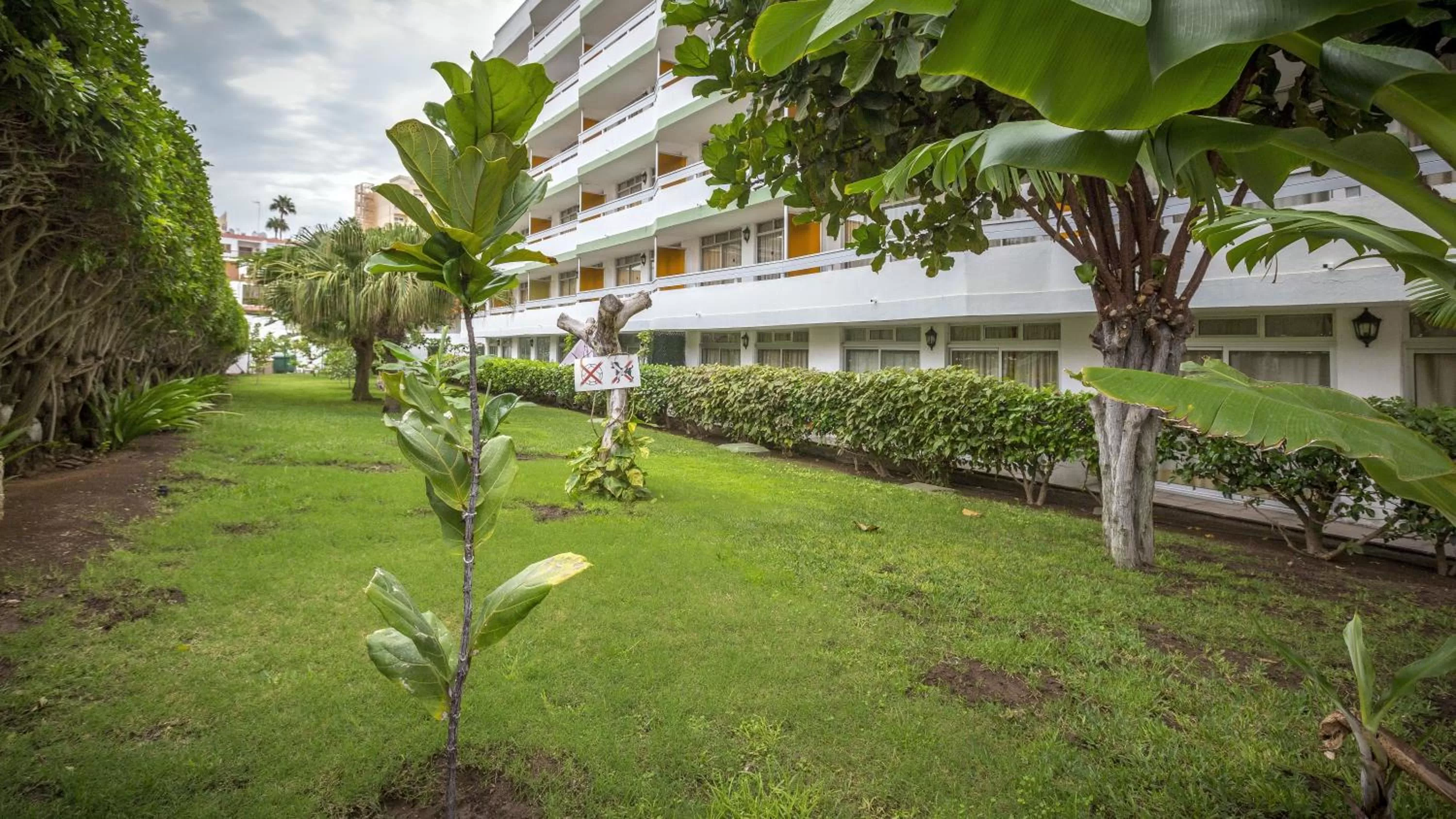 Garden in Tagoror Beach Apartments - Adults Only
