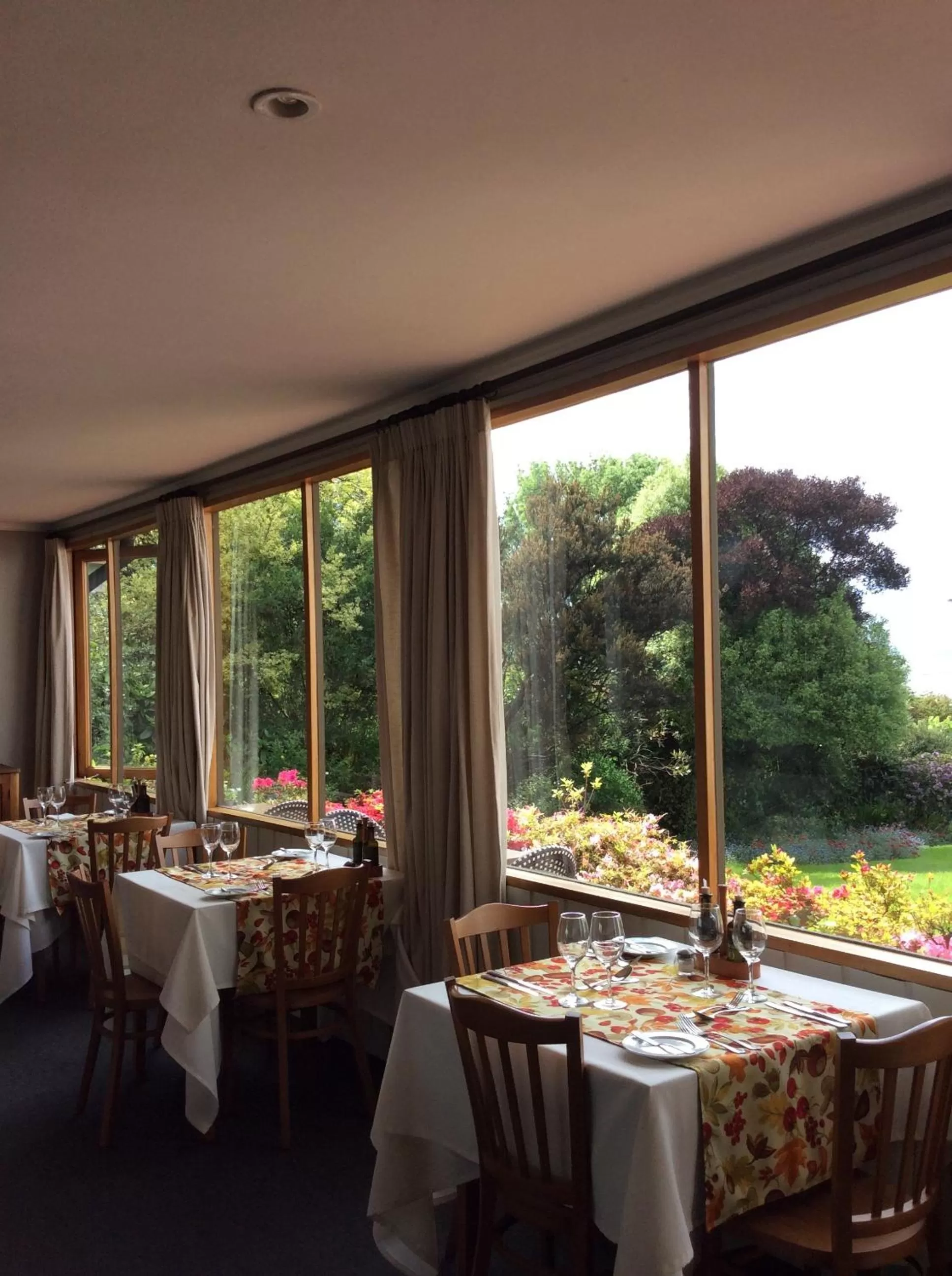 Restaurant/Places to Eat in Hotel El Ciervo