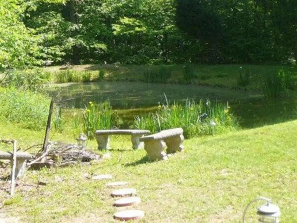 View (from property/room) in Lil Black Bear Inn