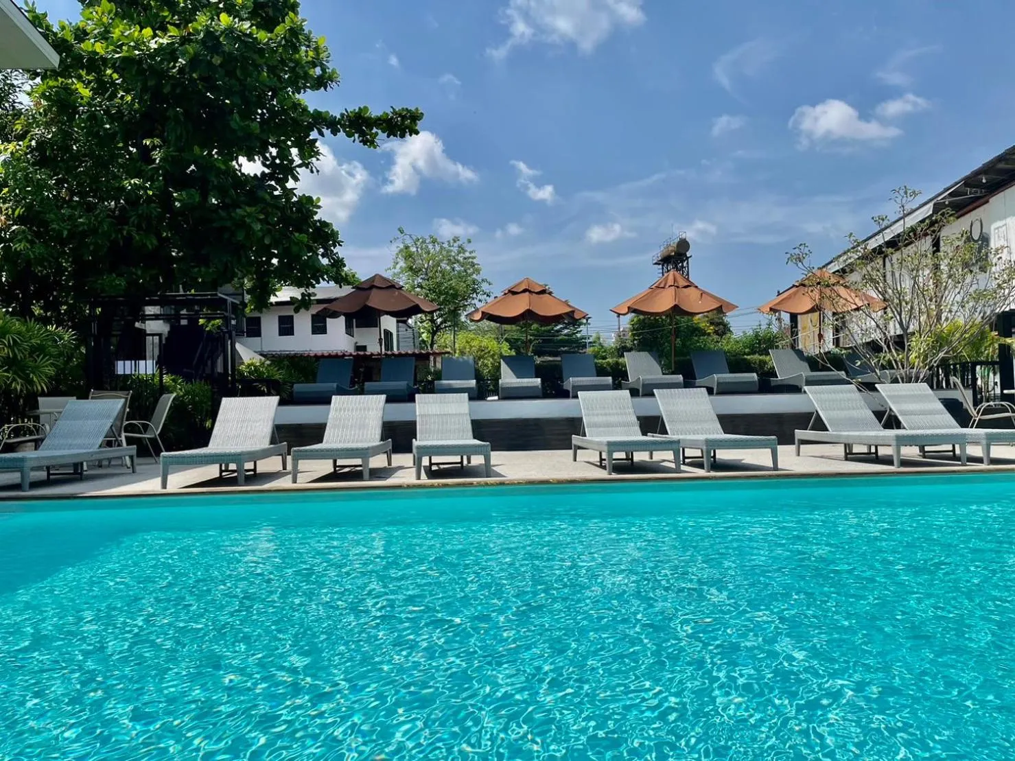 Swimming pool in What's Up Chiang Mai