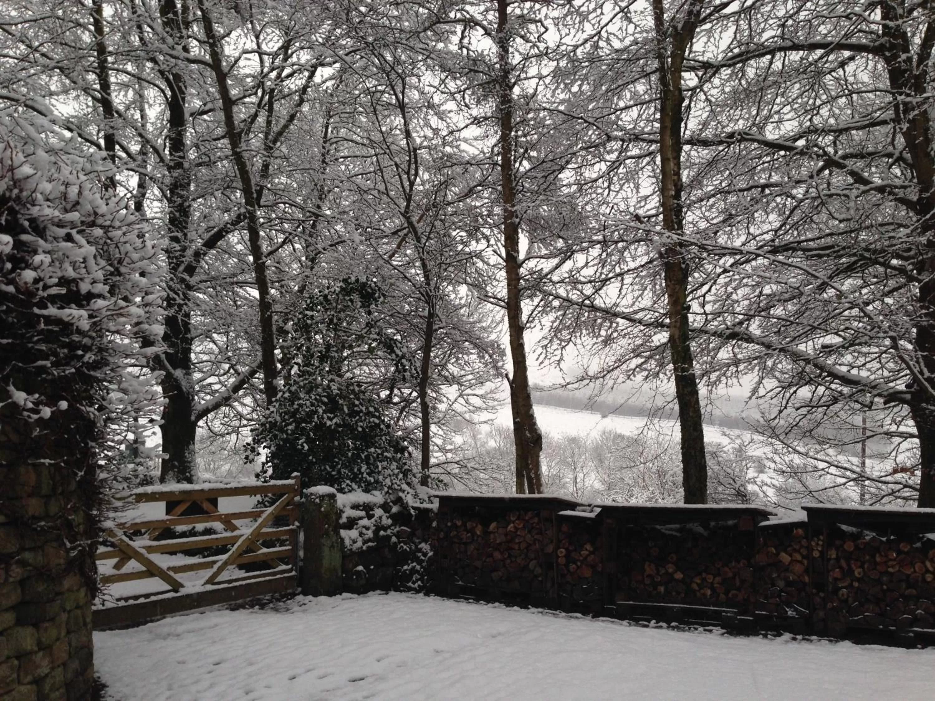 Winter in Robin Hood Farm B&B