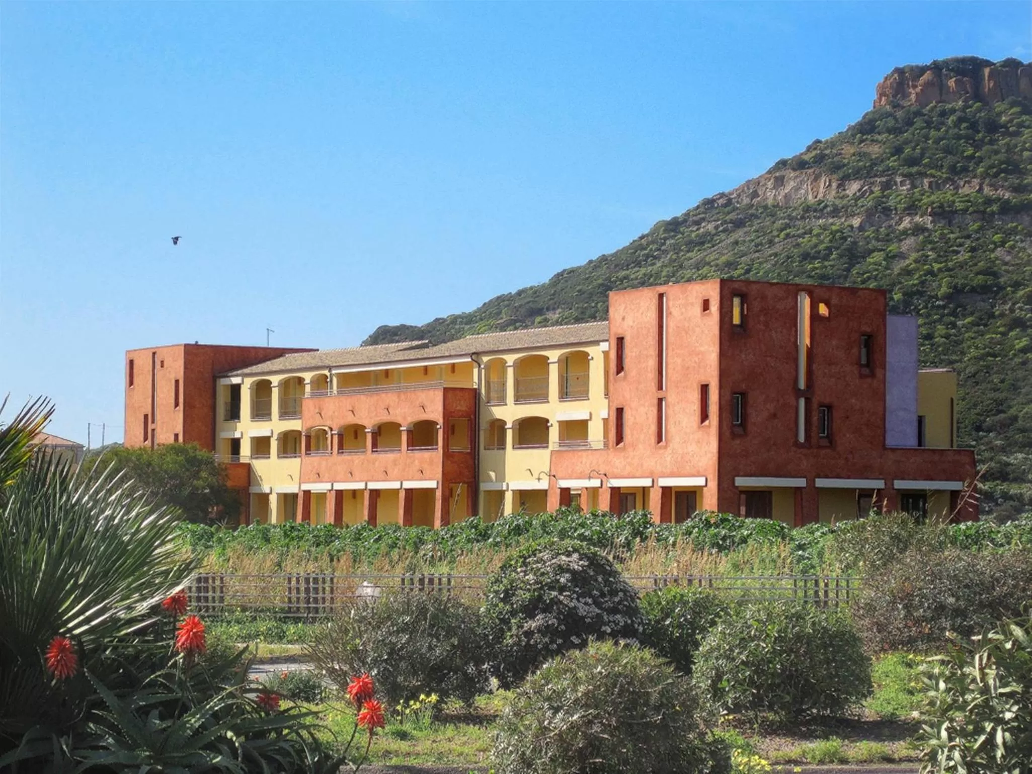 Bird's eye view in Hotel Baja Romantica