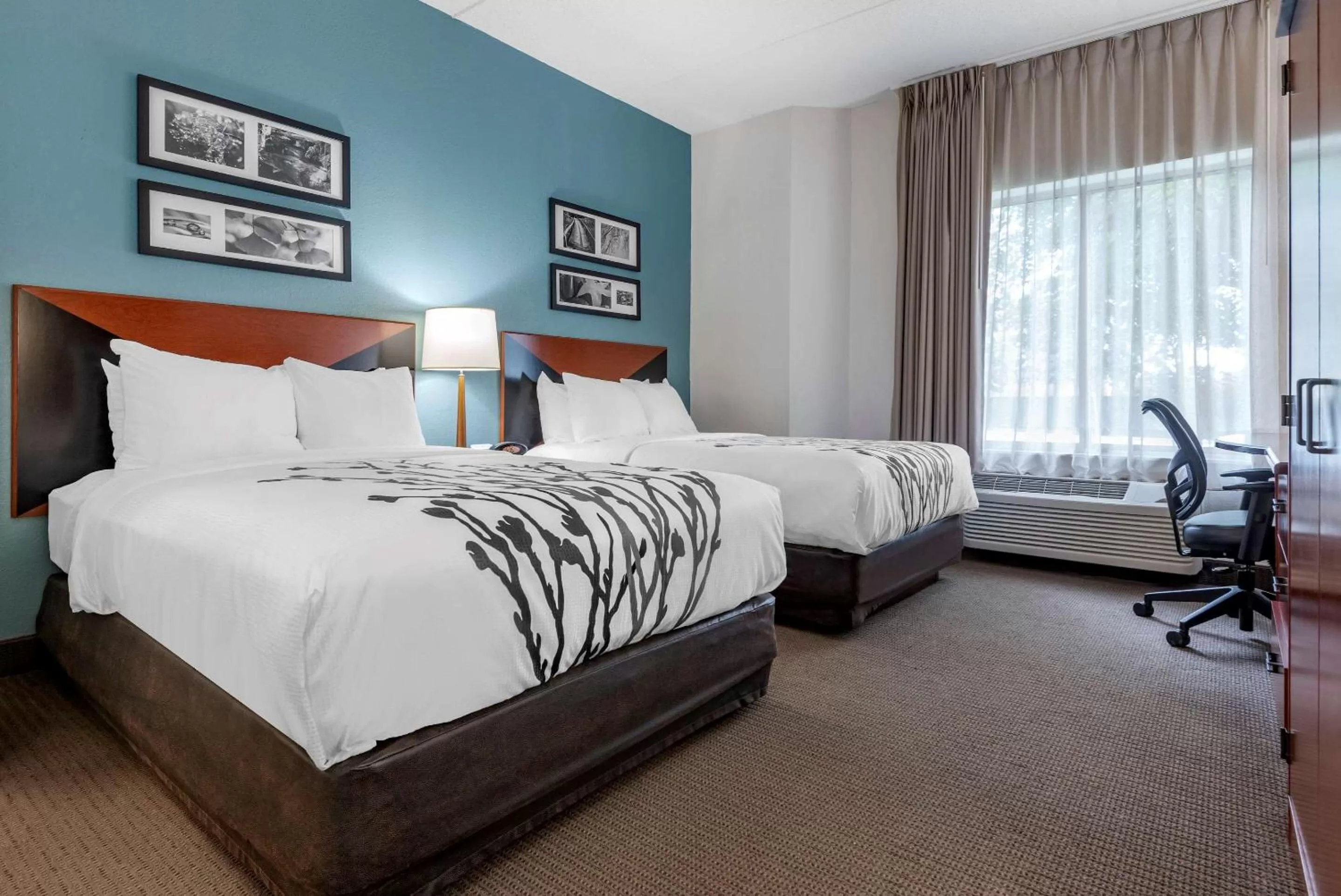 Photo of the whole room, Bed in Sleep Inn Amherst - Buffalo North near University