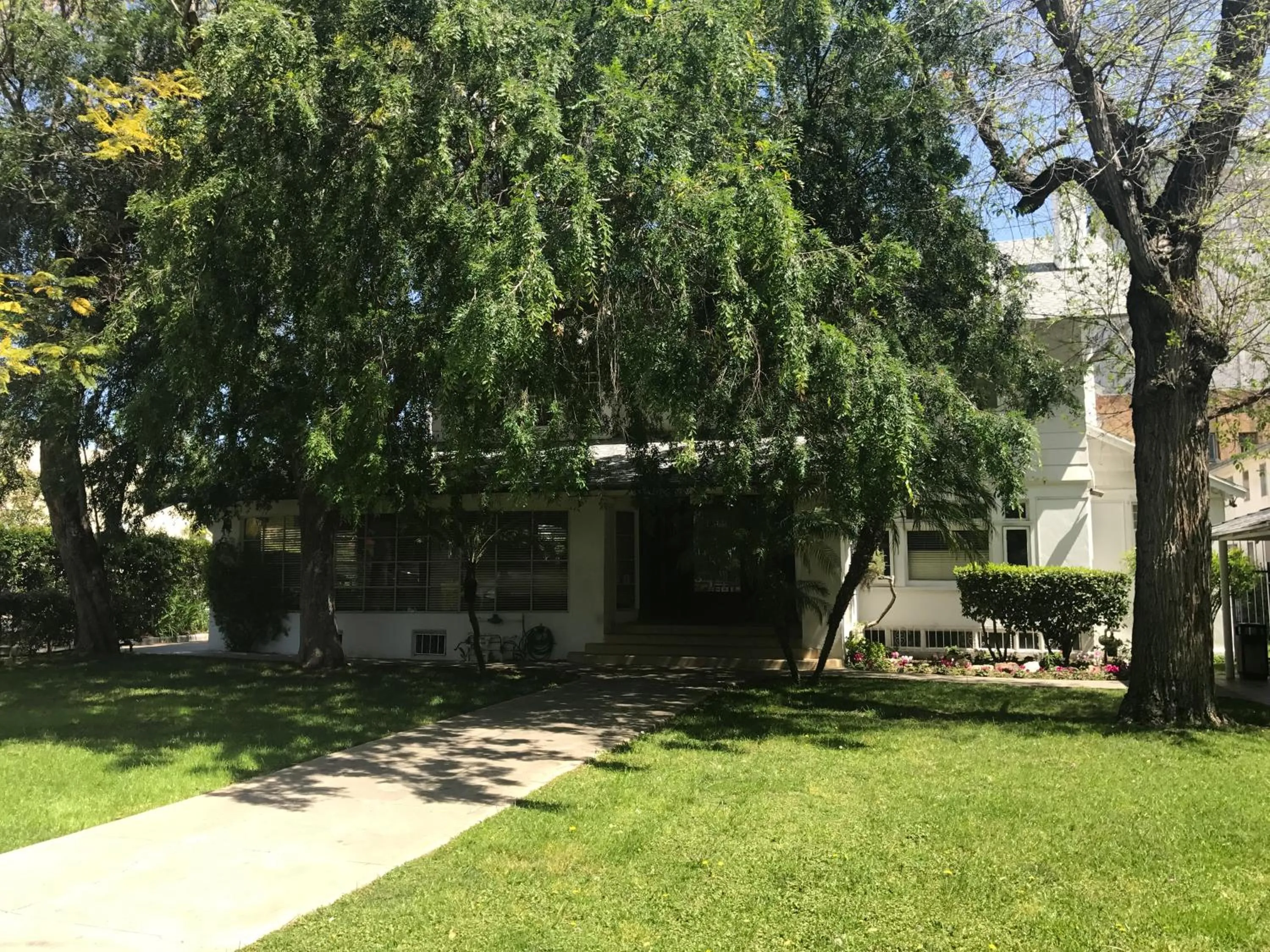 Facade/entrance in Orange Drive Hostel