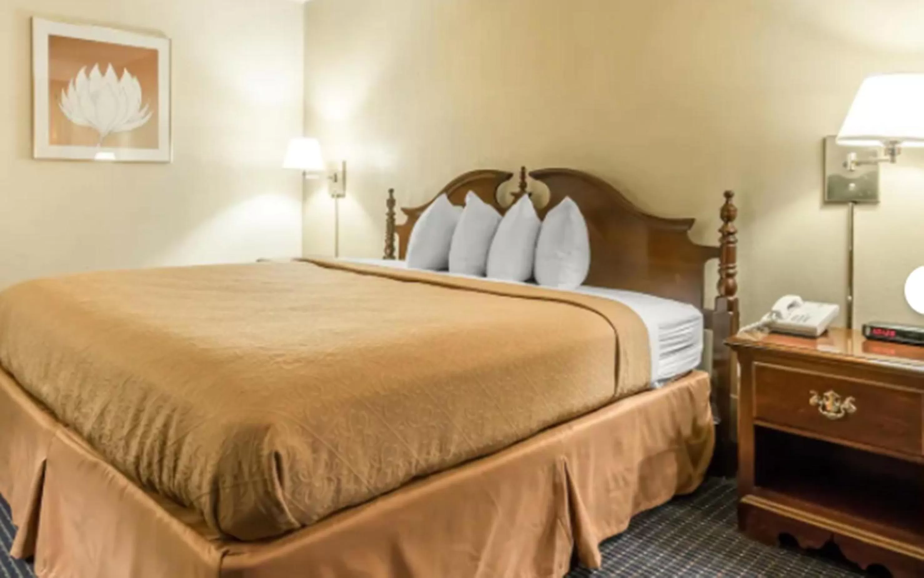 Bed in Quality Inn Somerset