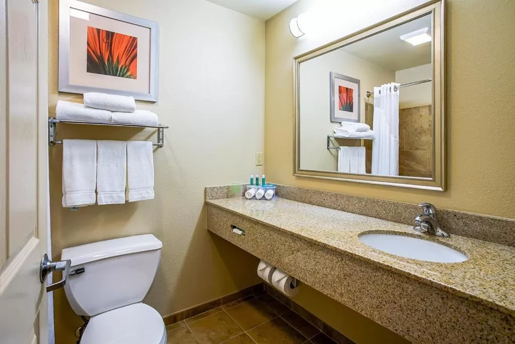 Holiday Inn Express & Suites Indianapolis North - Carmel by IHG