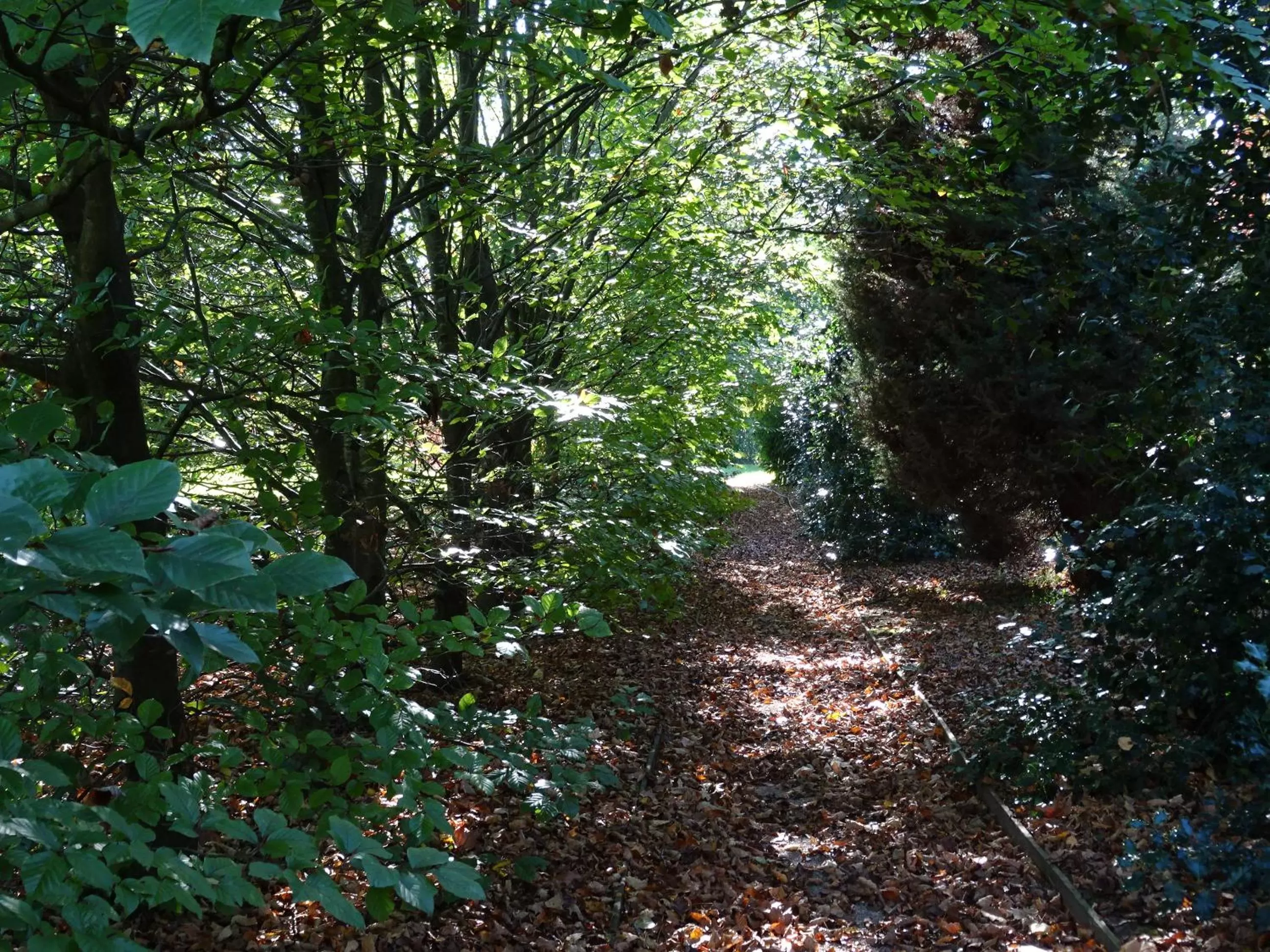 Natural landscape in Jardin de Carrejo