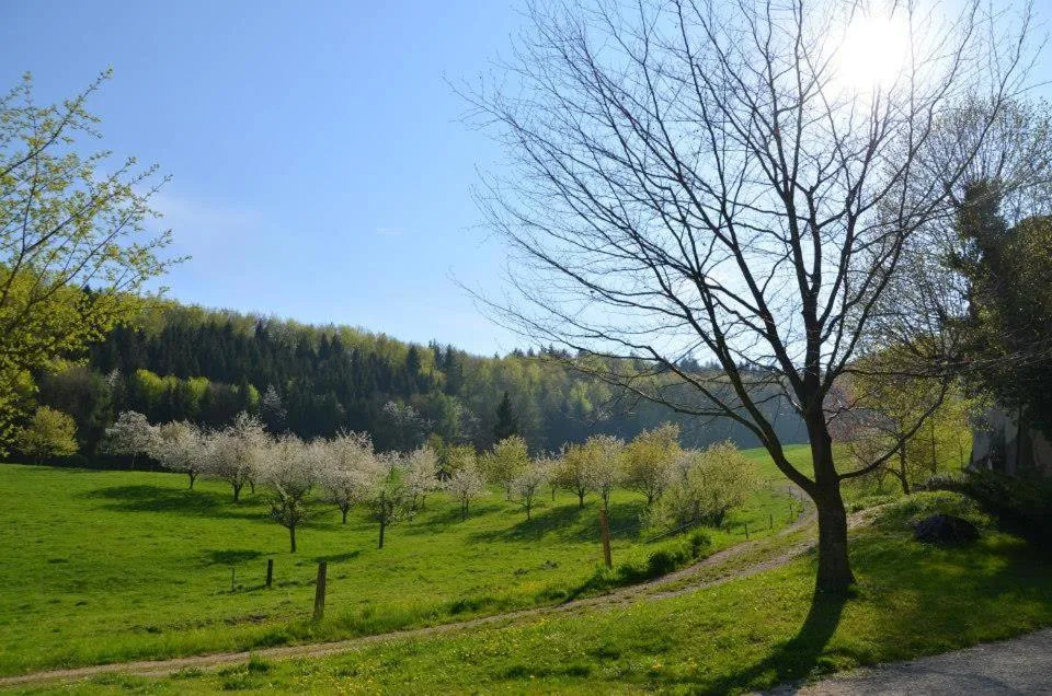 Day in Bad Schauenburg