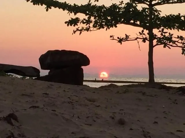 Natural landscape in Palm Beach Resort & SPA