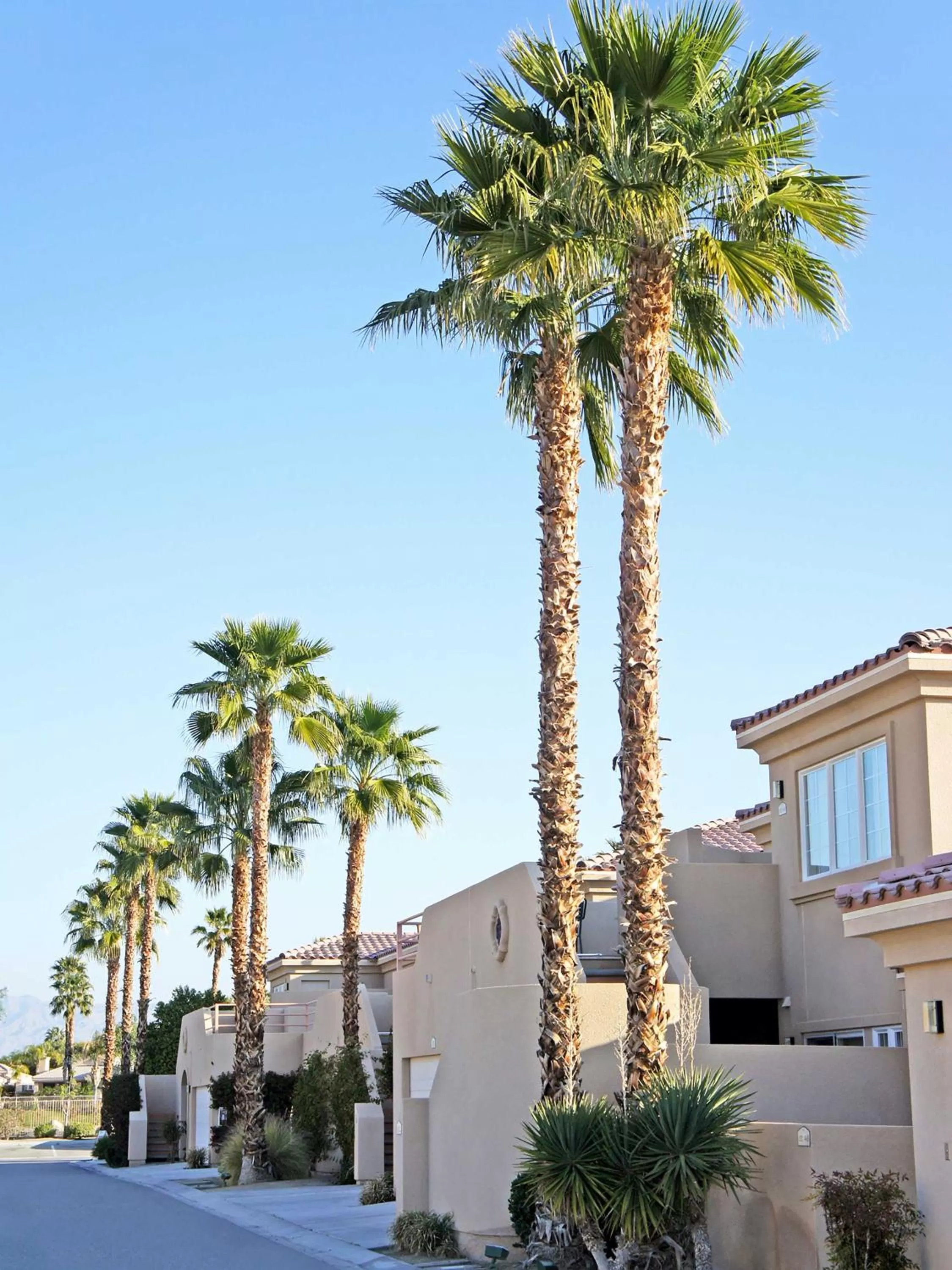 Property building in Raintree's Cimarron Golf Resort Palm Springs