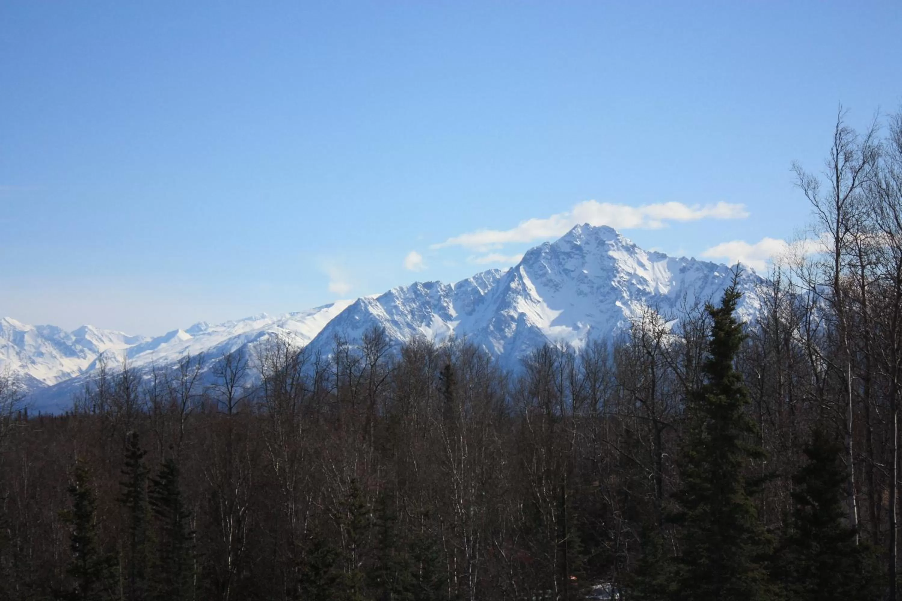 Mountain view in Fishhook Sunrise B&B