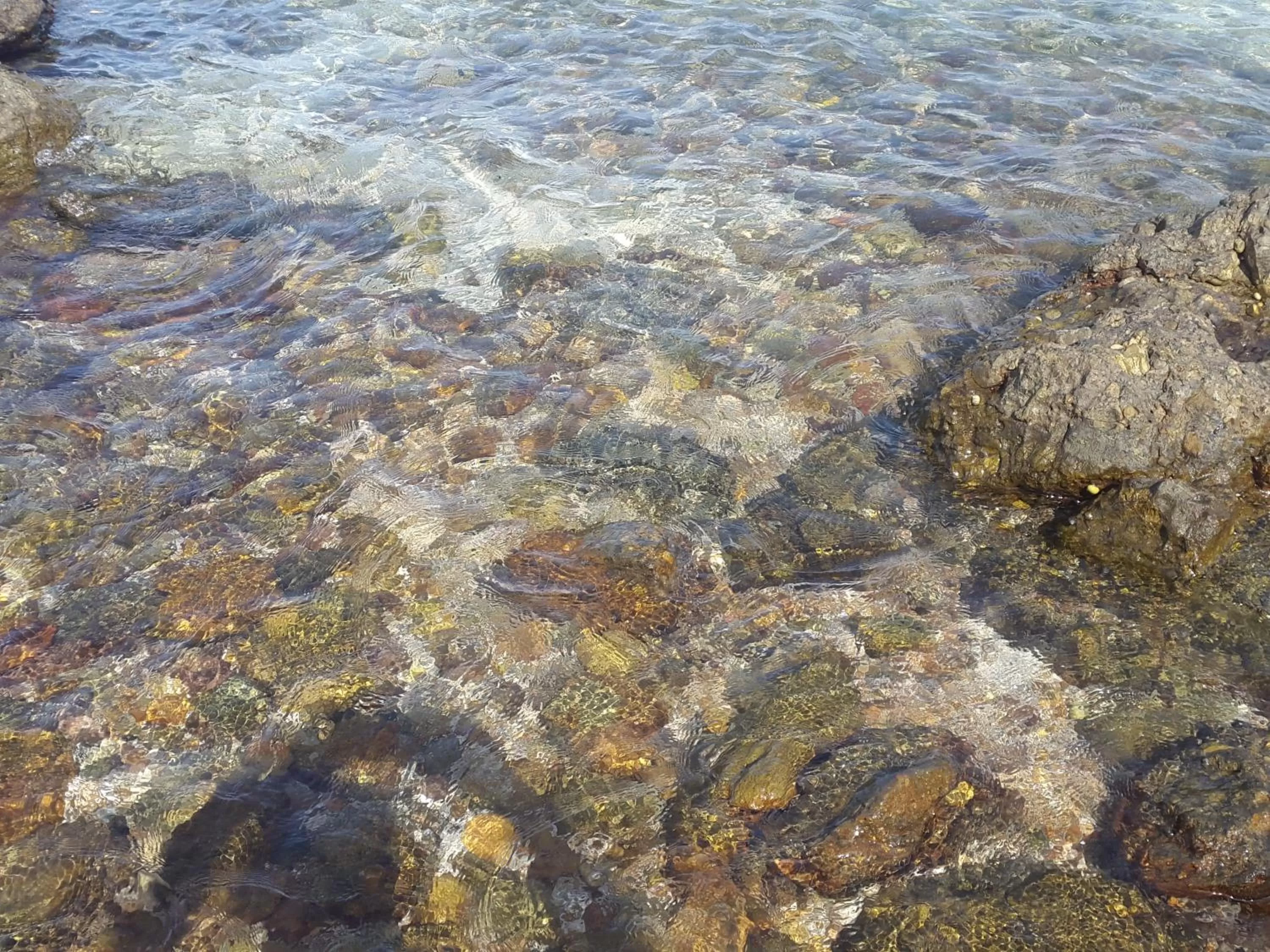 Area and facilities in River Hotel