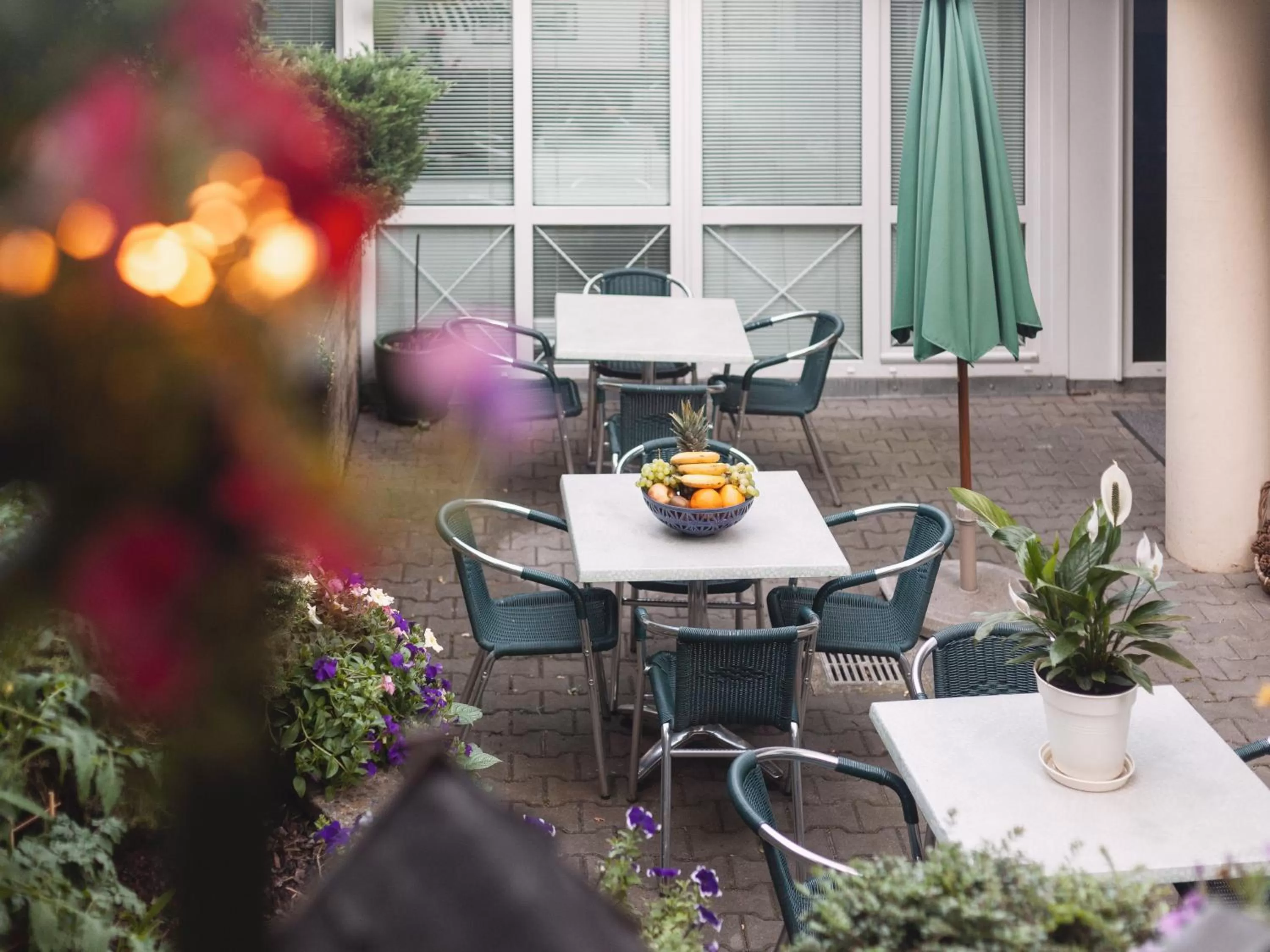 Garden in Hotel Peko