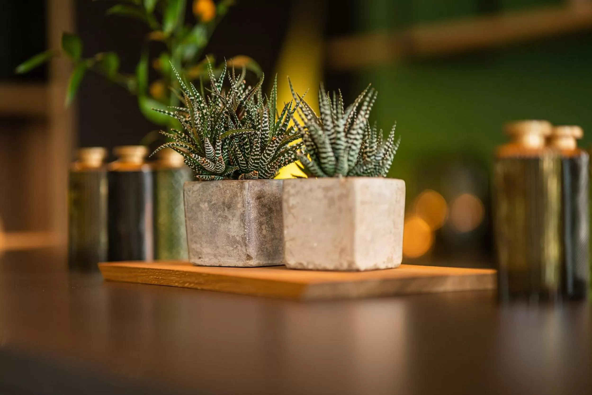 Lounge or bar in NATURE TITISEE - Easy.Life.Hotel.