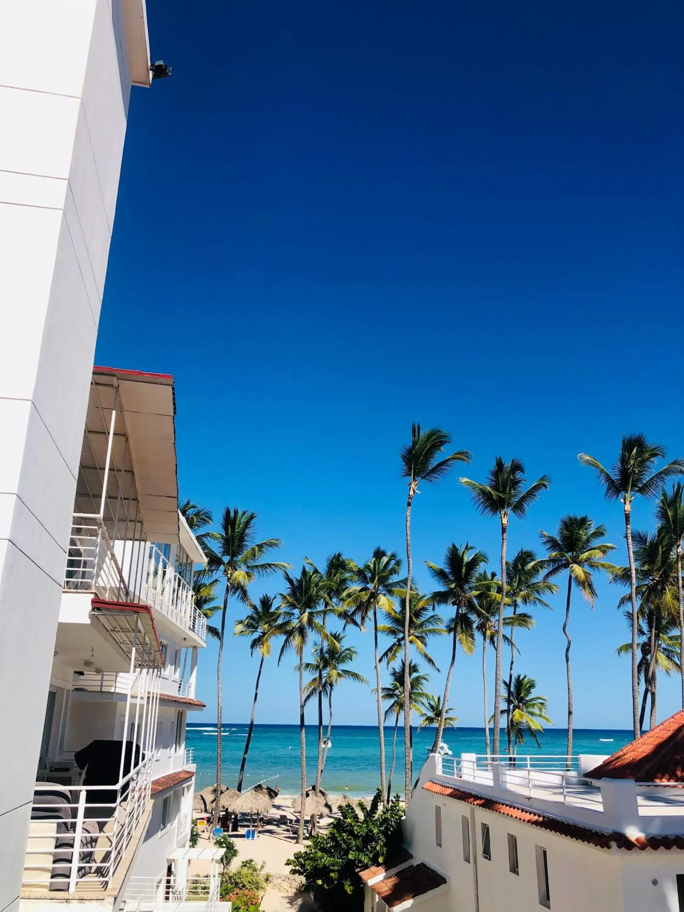 Beach in Los Corales Luxury Villas Beach Club and Spa
